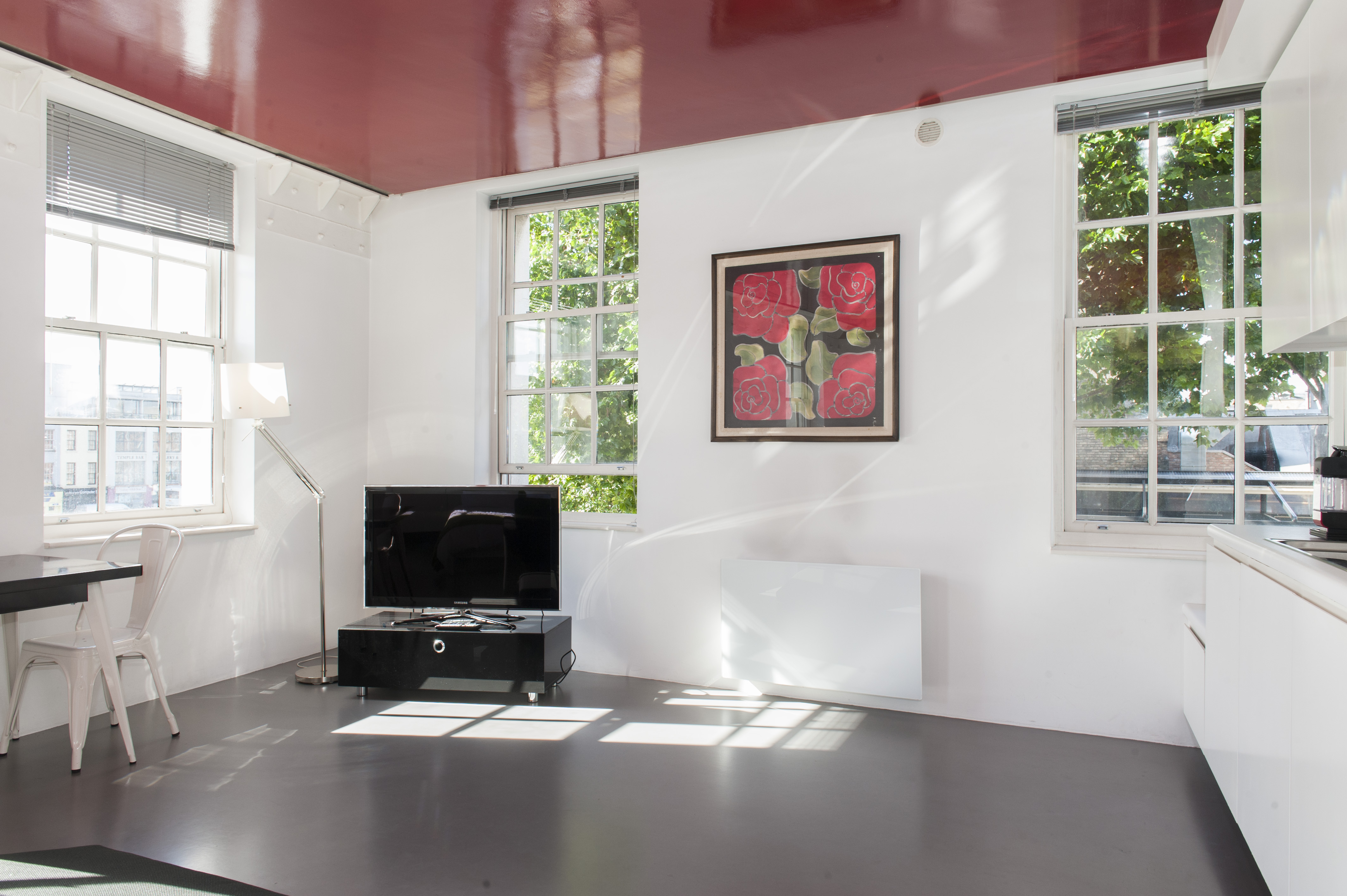 Designer Apt in the heart of Dublin Lofts for Rent in Dublin, Dublin