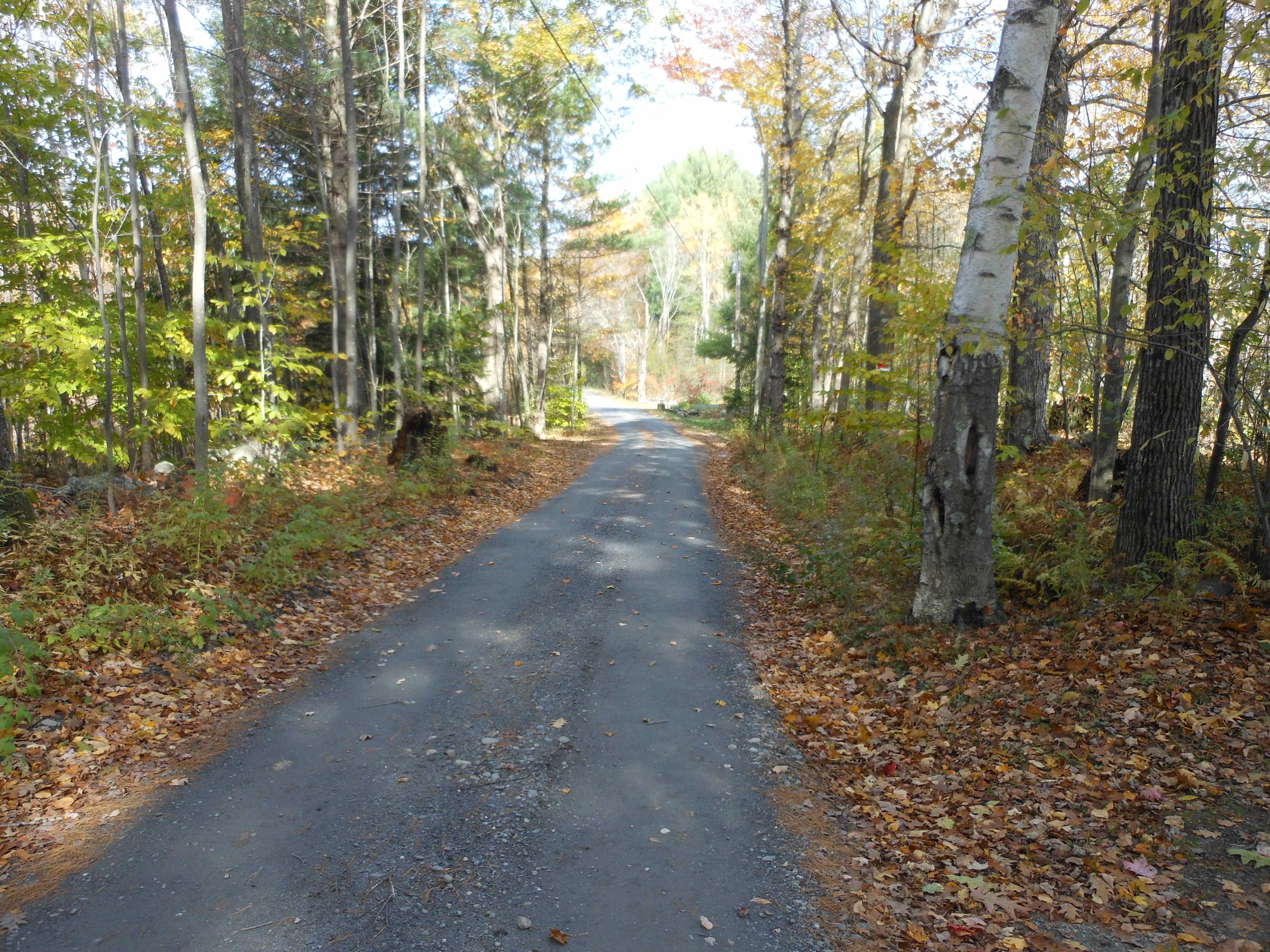 Peaceful, Beautiful, Mountain Home Houses for Rent in Putney, Vermont, United States Airbnb