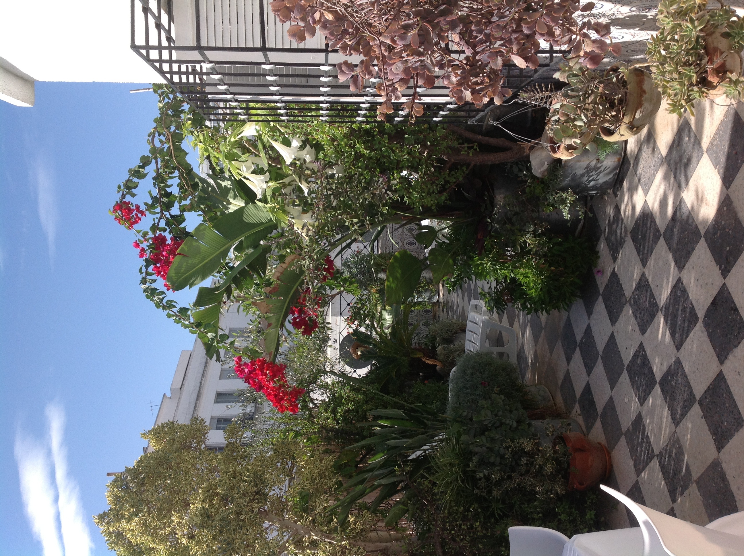 LACASADELCENTROATUNIS.55€XJJX2PERSO Apartments for Rent in Tunis