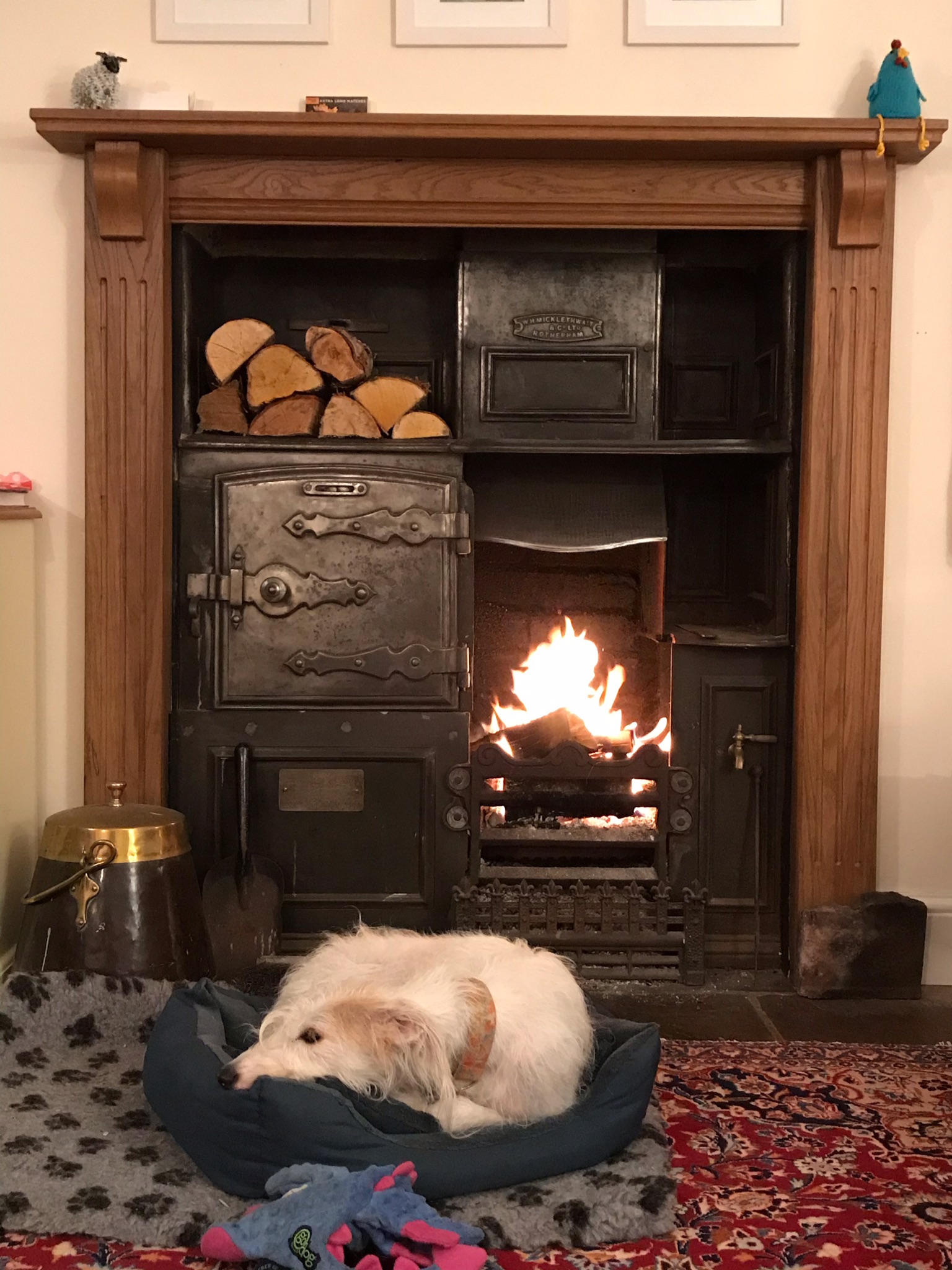 dog friendly cottages wensleydale