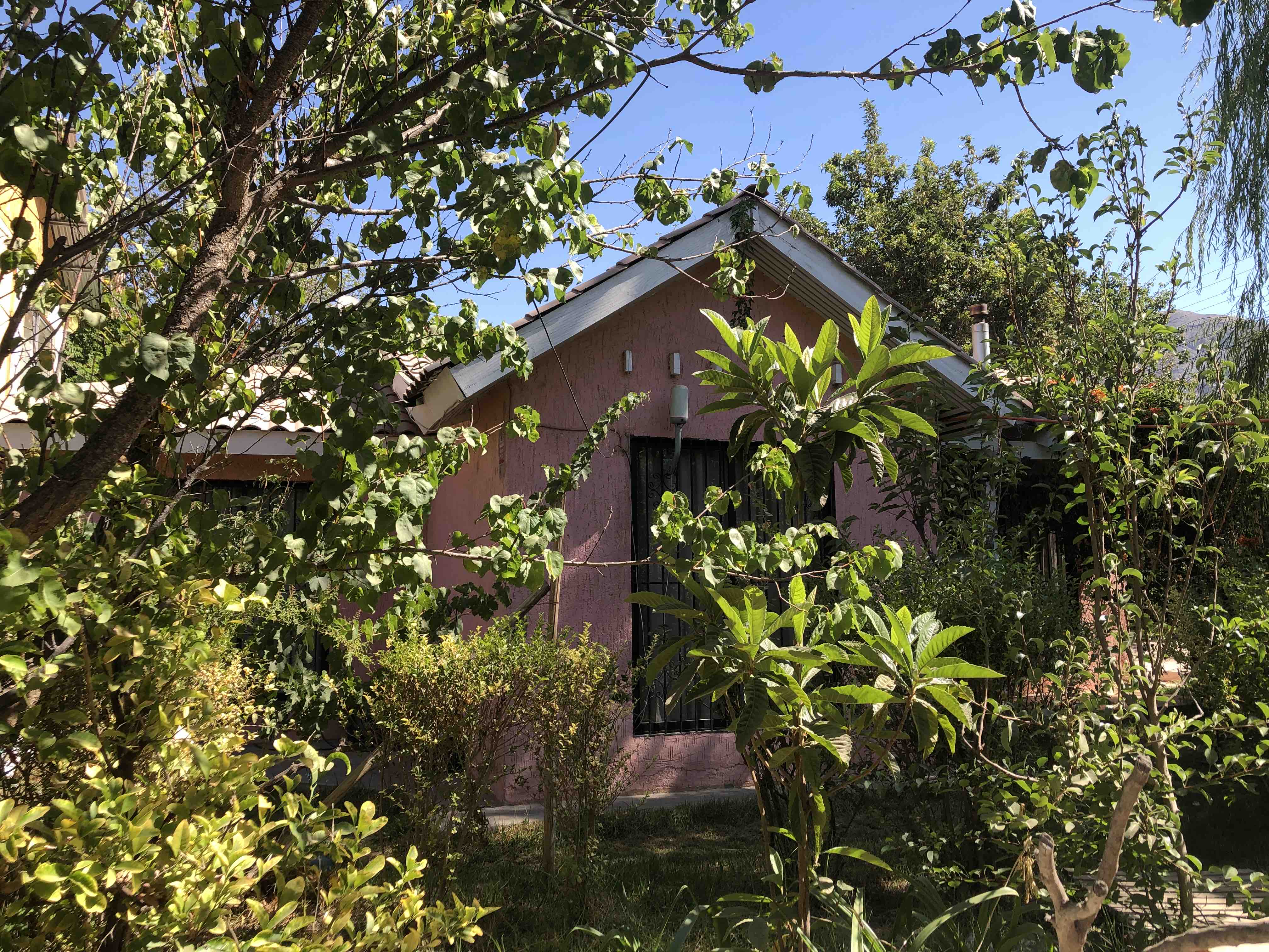 The Secret Garden ( House )