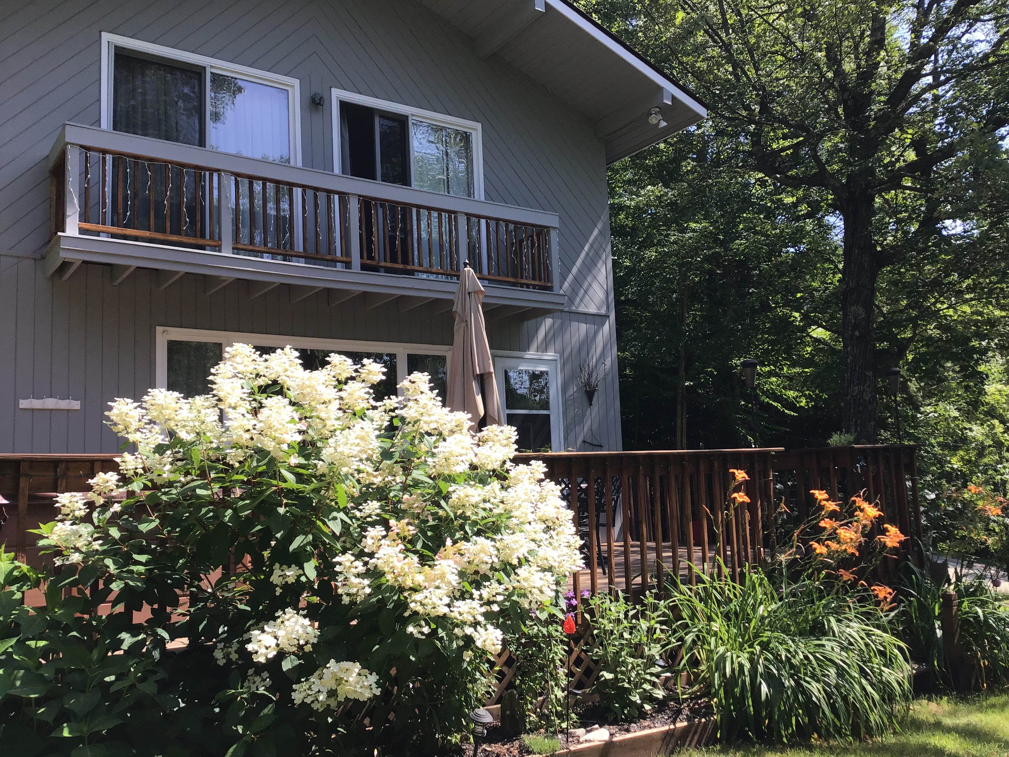 Charming Mountain Home -  close to KILLINGTON