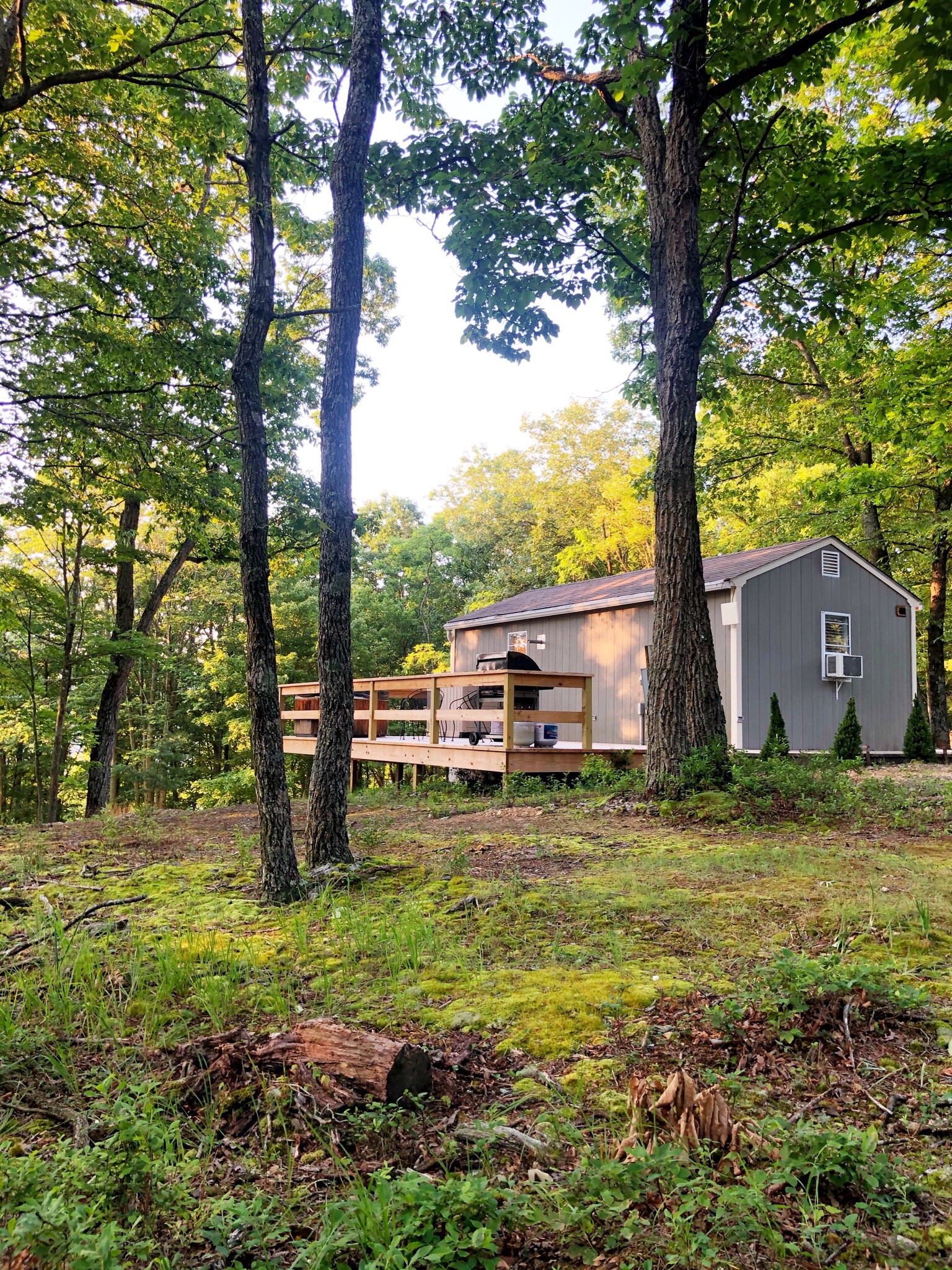 Lost River Tiny House, dogfriendly + hot tub Tiny houses for Rent in
