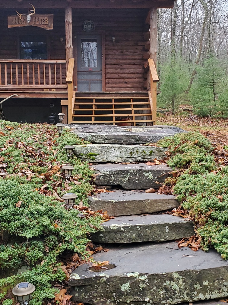 Log Cabin In The Woods Very Private Location Cabins for Rent in