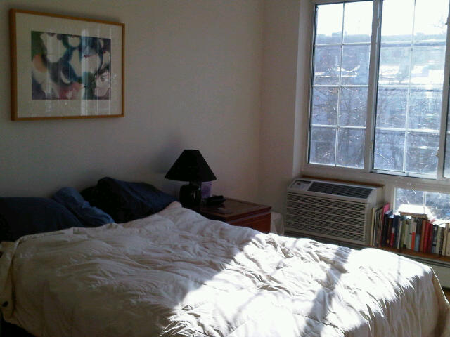 Sunny, Large, Park Slope Bedroom in Park Slope, New York City