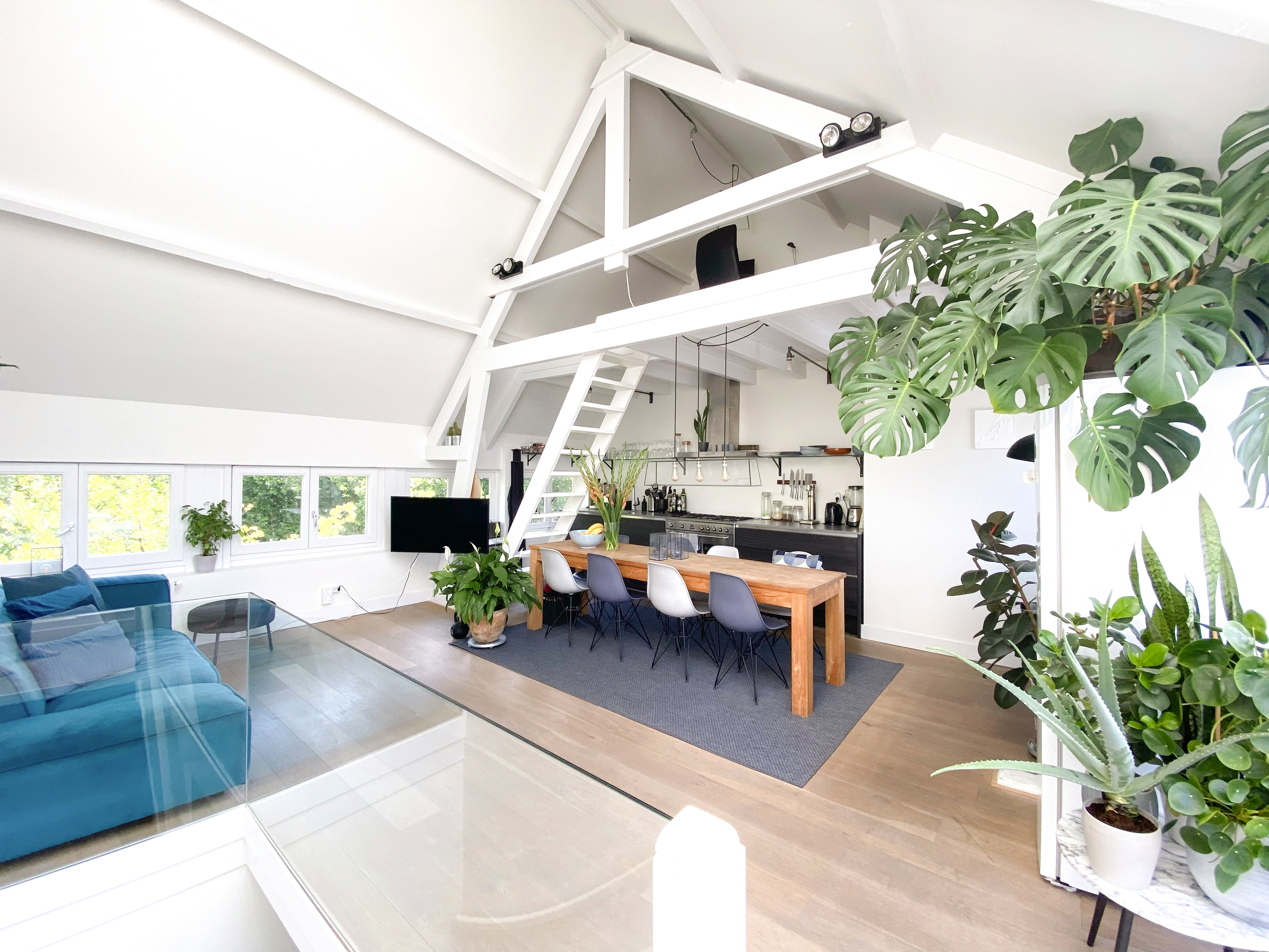 Light & spacious apartment with rooftop terrace — Amsterdam stay