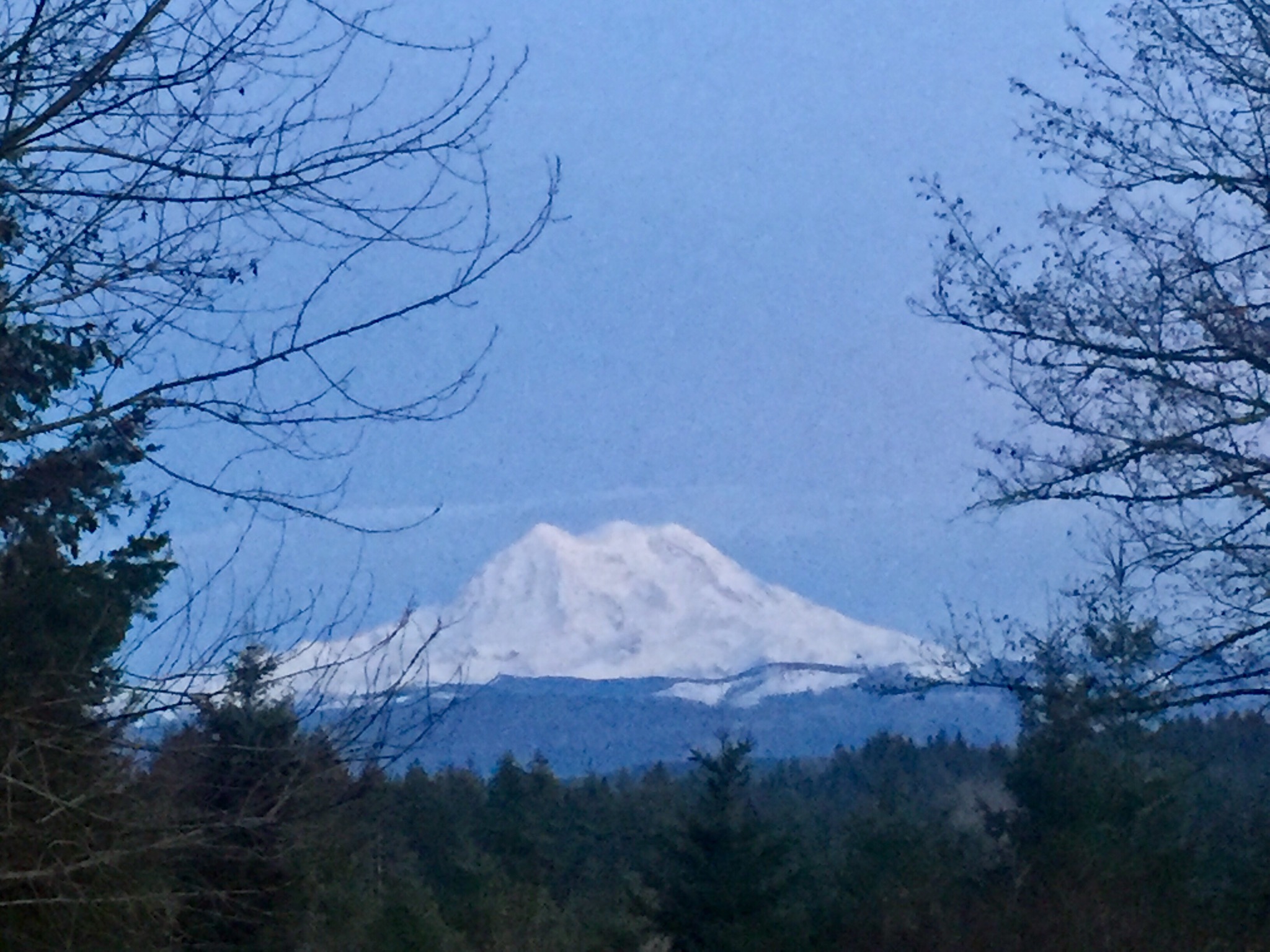 Paisley Paradise Yurt Yurts for Rent in Roy, Washington, United