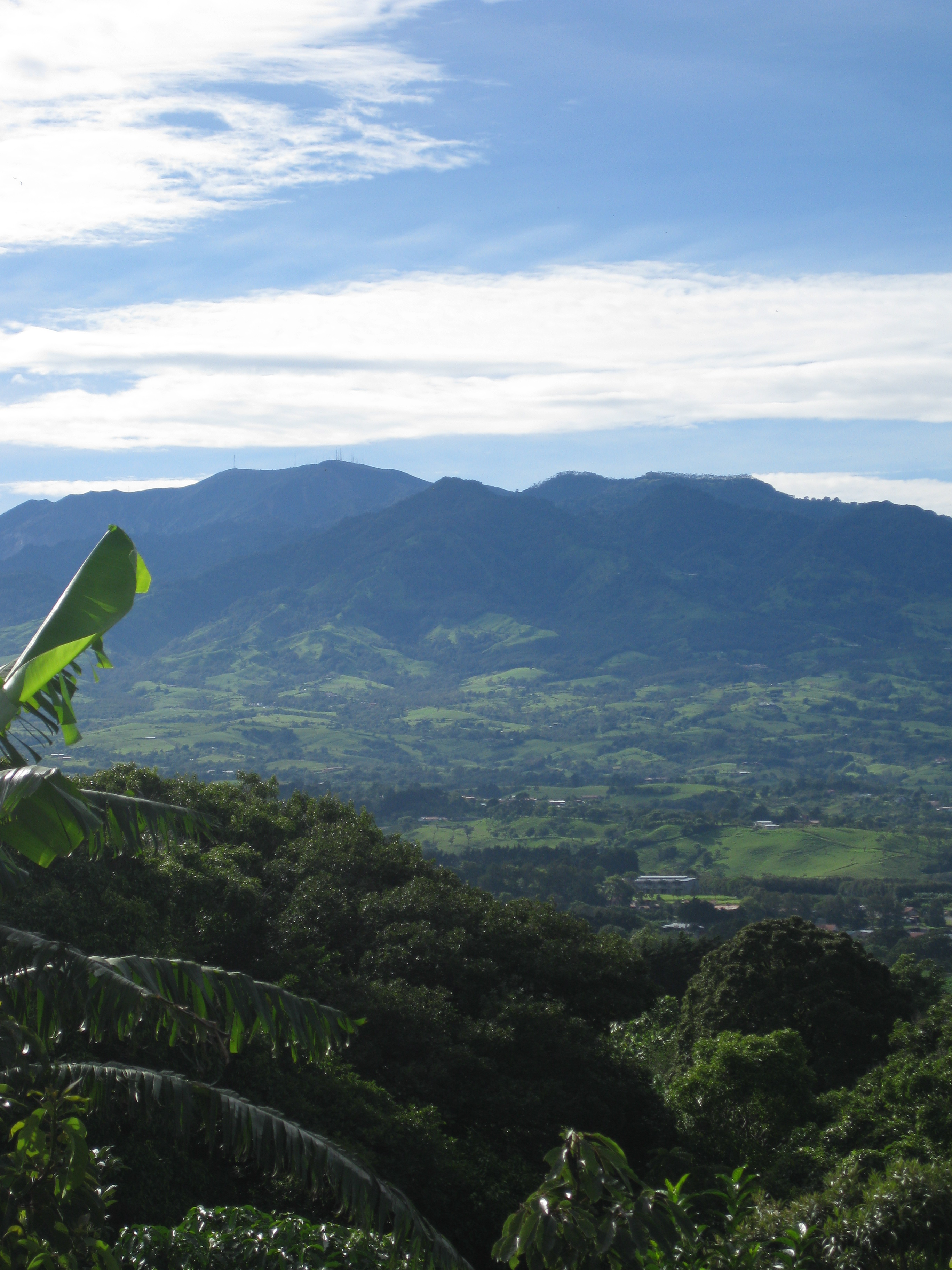 A Boutique Working Coffee Ranch !!! Villas for Rent in Concepcion de