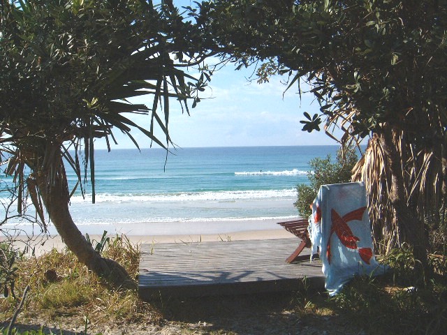Banksias at the Beach, Byron Bay in BYRON SHIRE COUNCIL, Northern Rivers