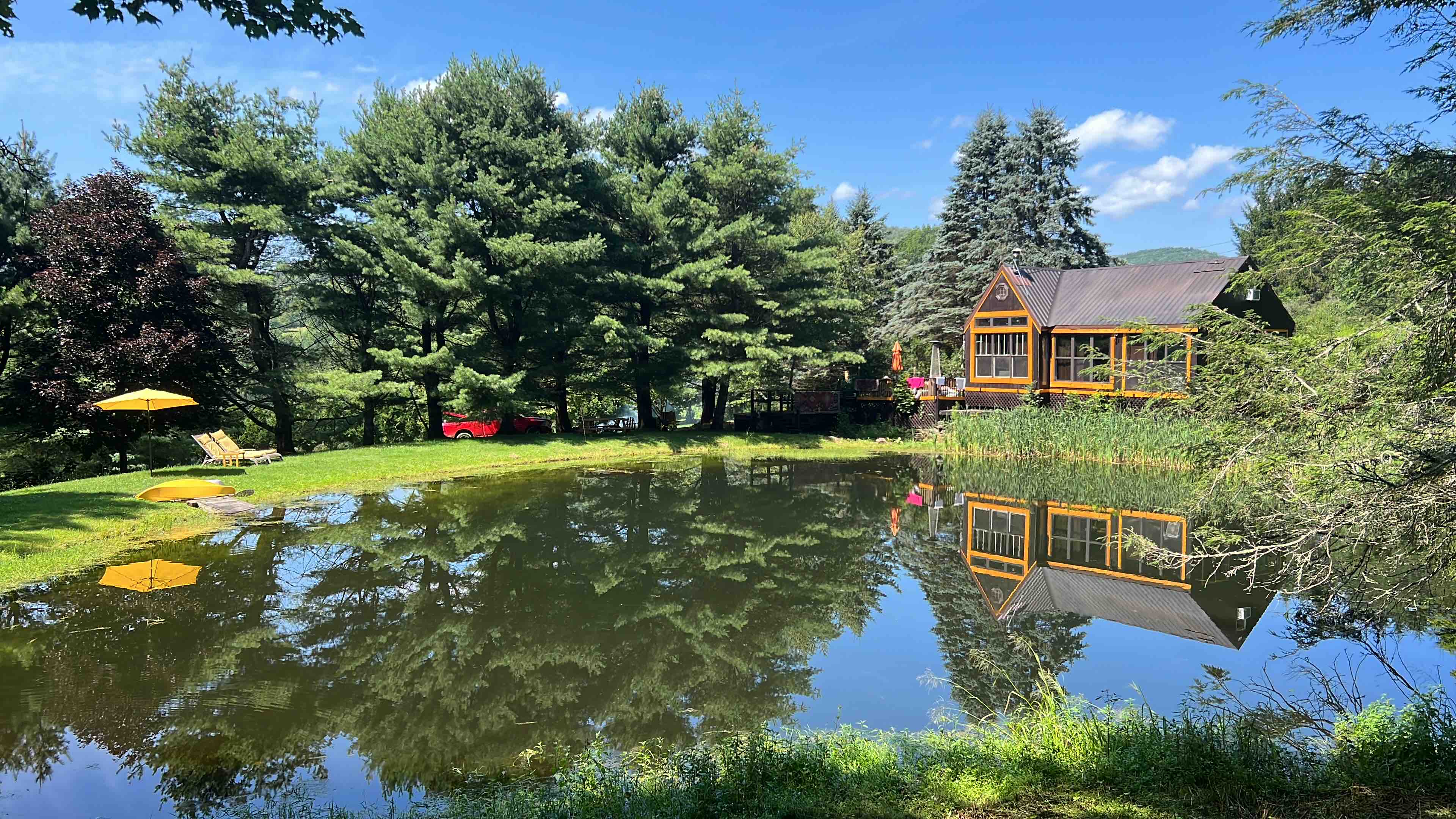 Piece of Heaven in the Woods