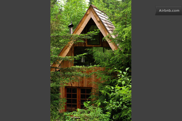  Japanese Forest House  in Nehalem