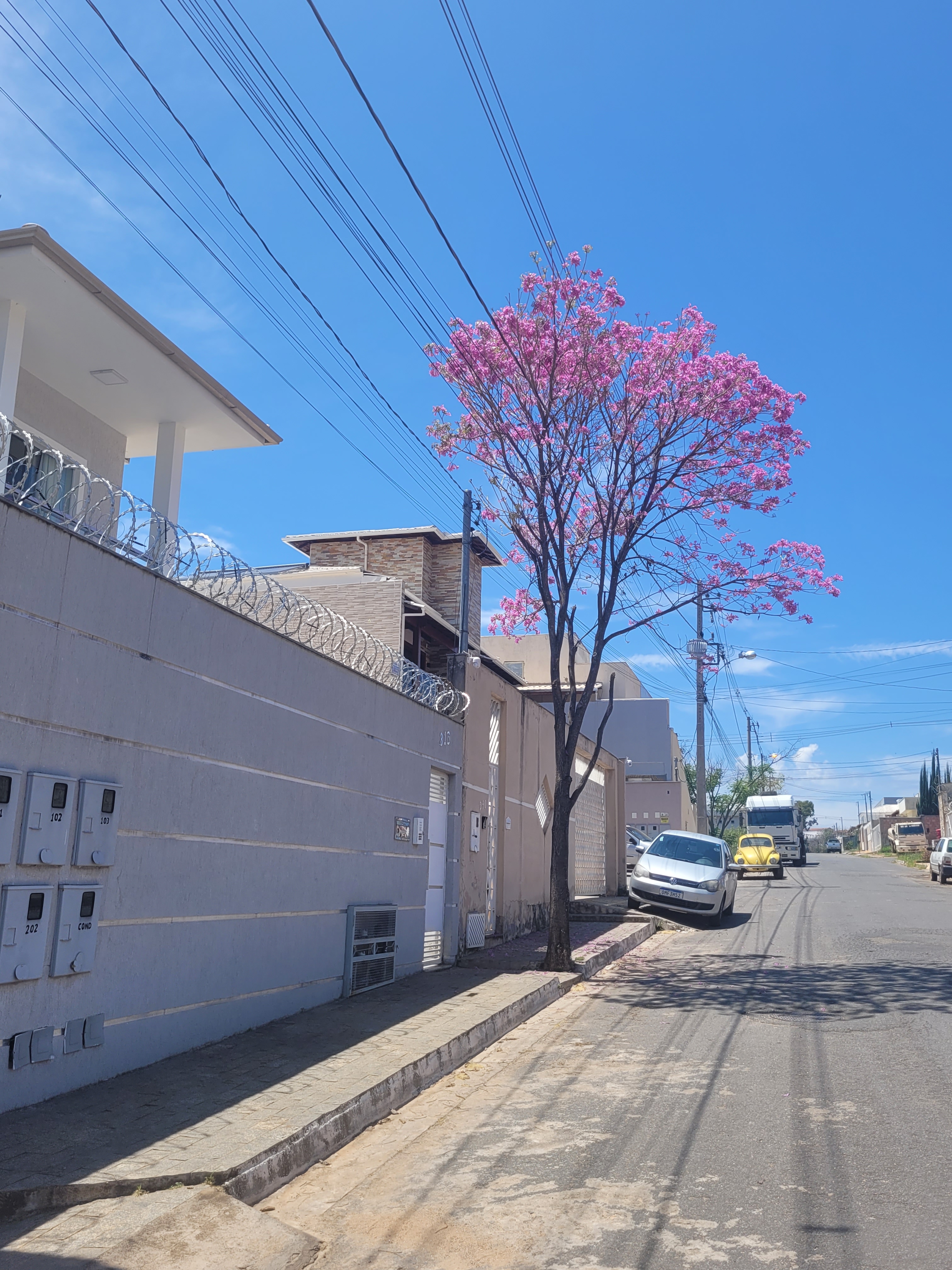 Apartment in Diamantina