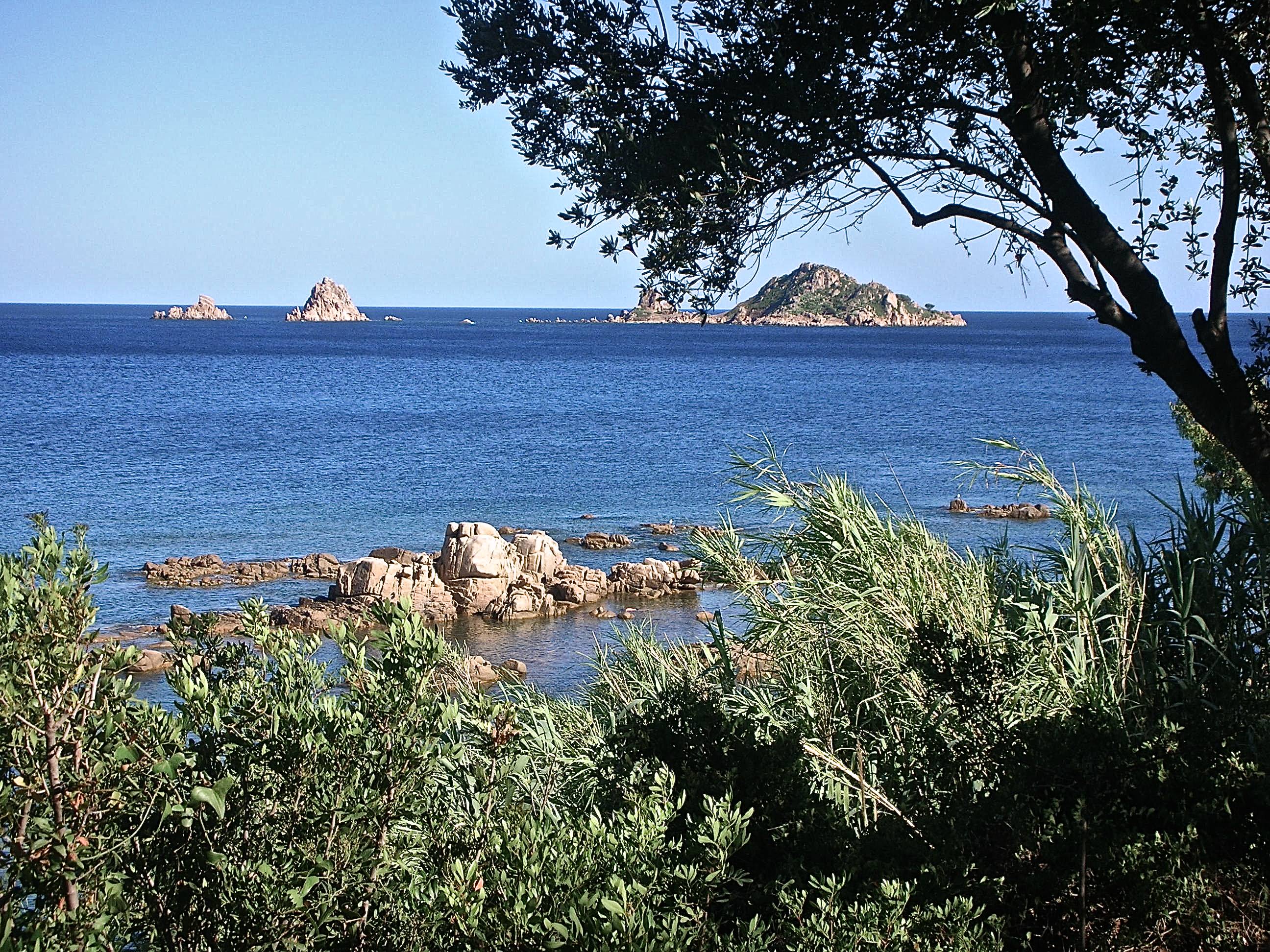 the GREEN in front of the BLUE