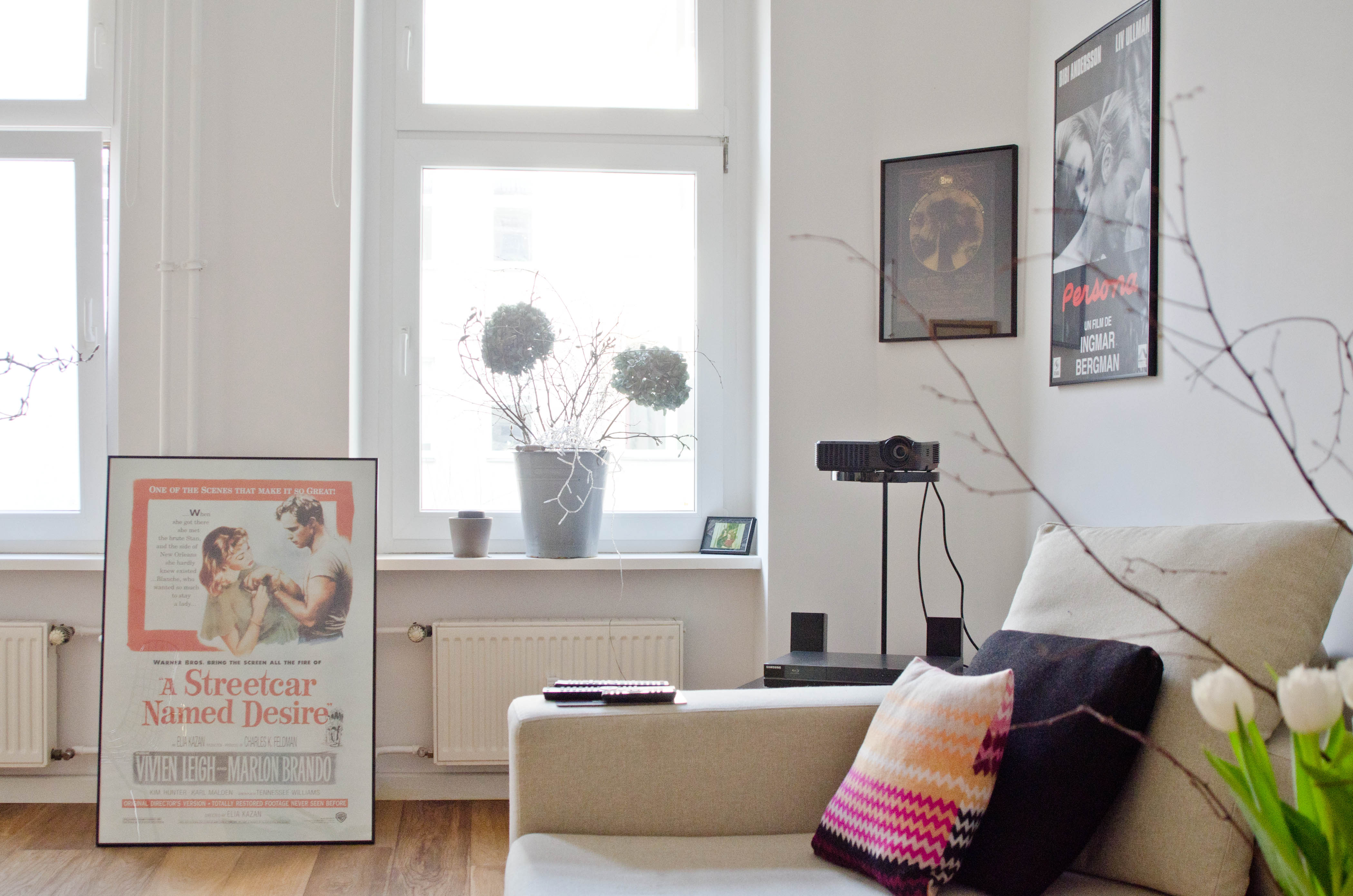 Cozy Design Cinema Flat / Long Term discount in Prenzlauer Berg Süd, Berlin