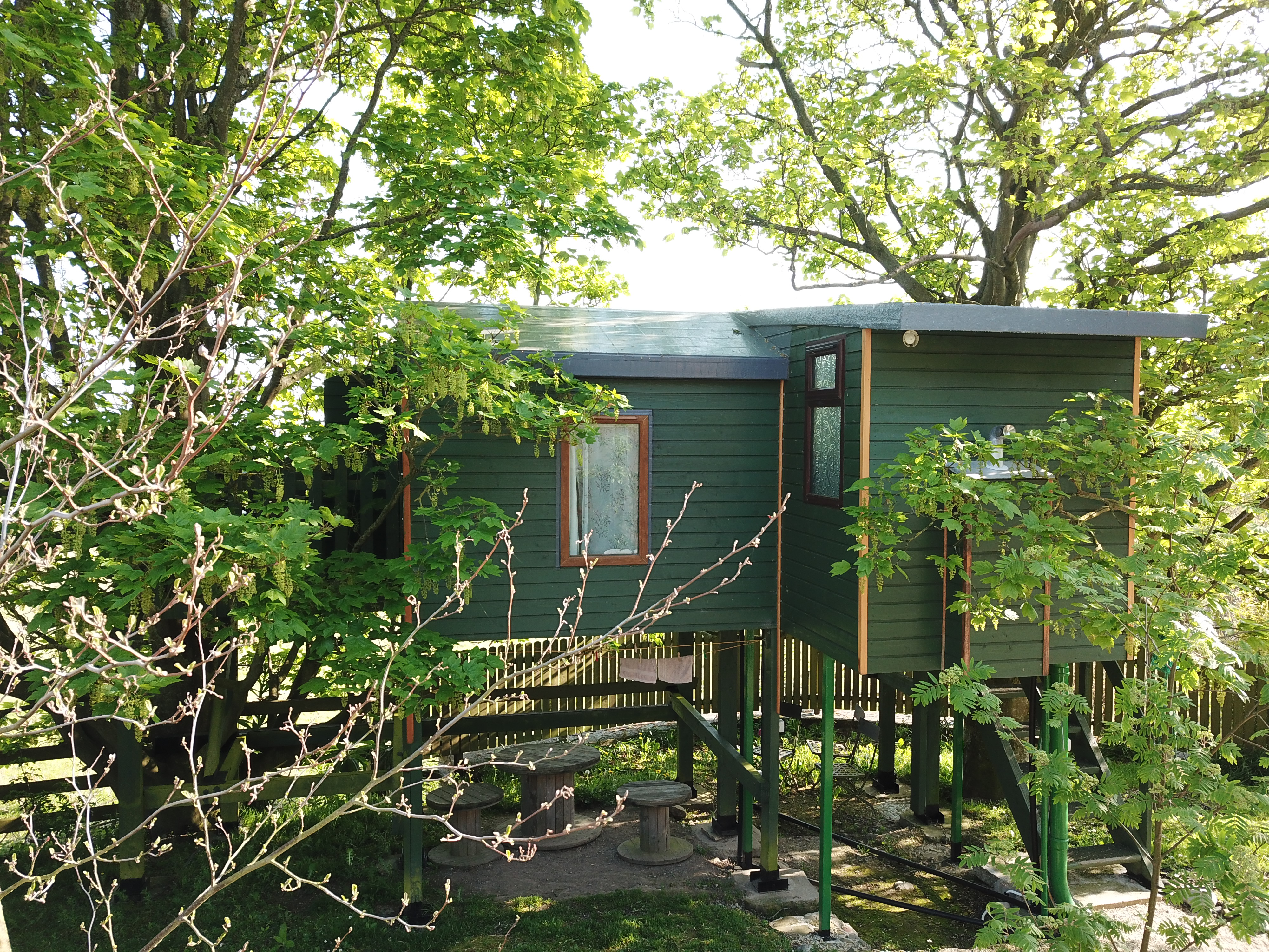 The Swallow's Return Treehouse.
Eir Code A91D954