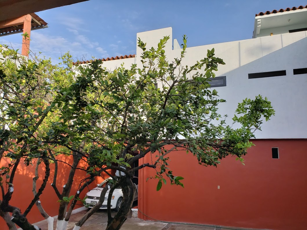 The best of the family in Malinalco. Centrally located!