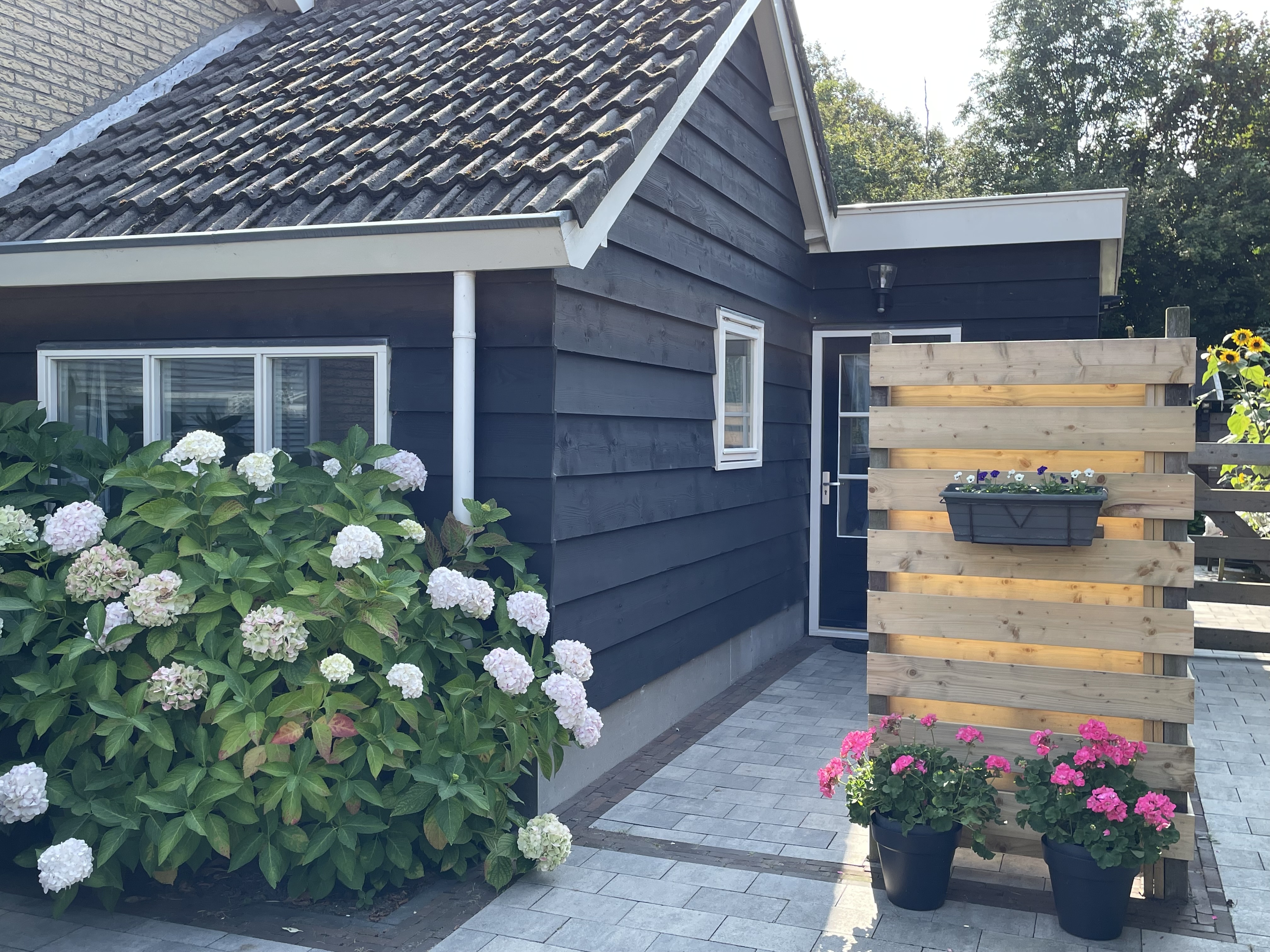 Relaxing in Zoutelande