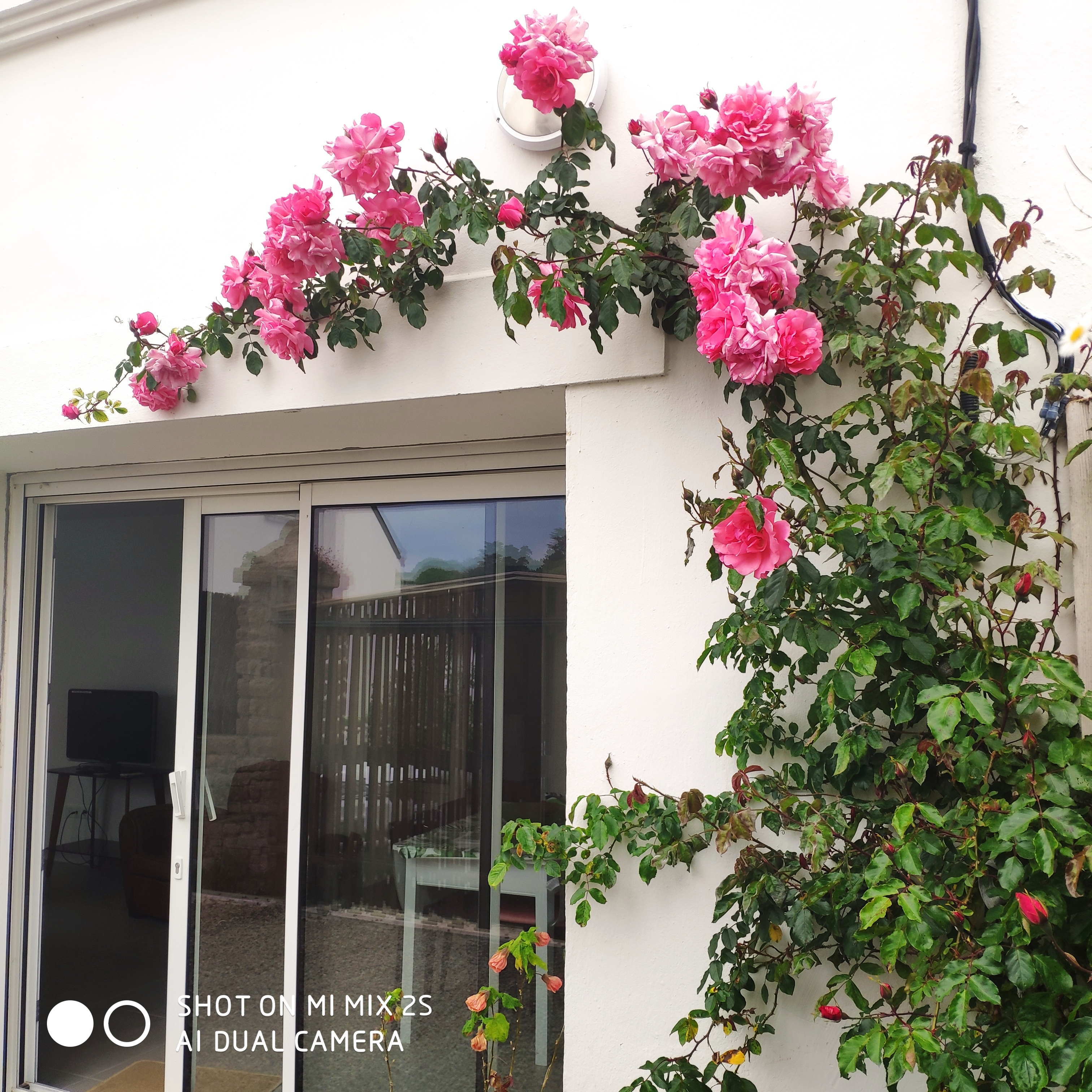 1 chr, 45 m2, ground floor with enclosed garden,all on foot