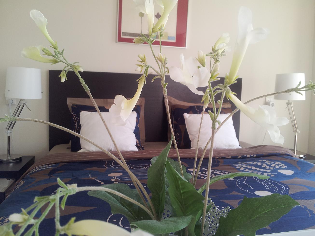 B&B The Hague, Own floor, Shared front door