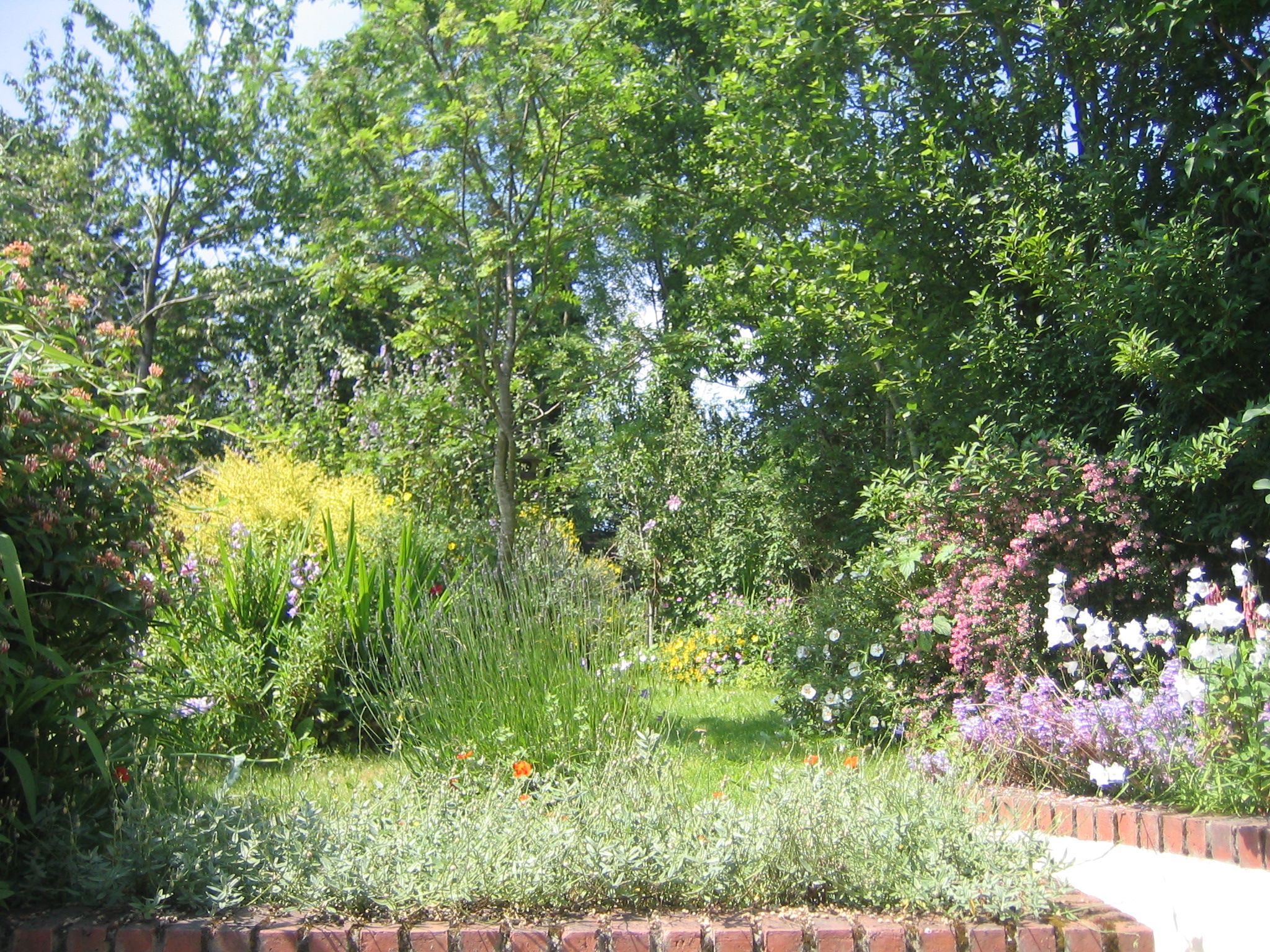 West Dorset Countryside Retreat Cottages for Rent in