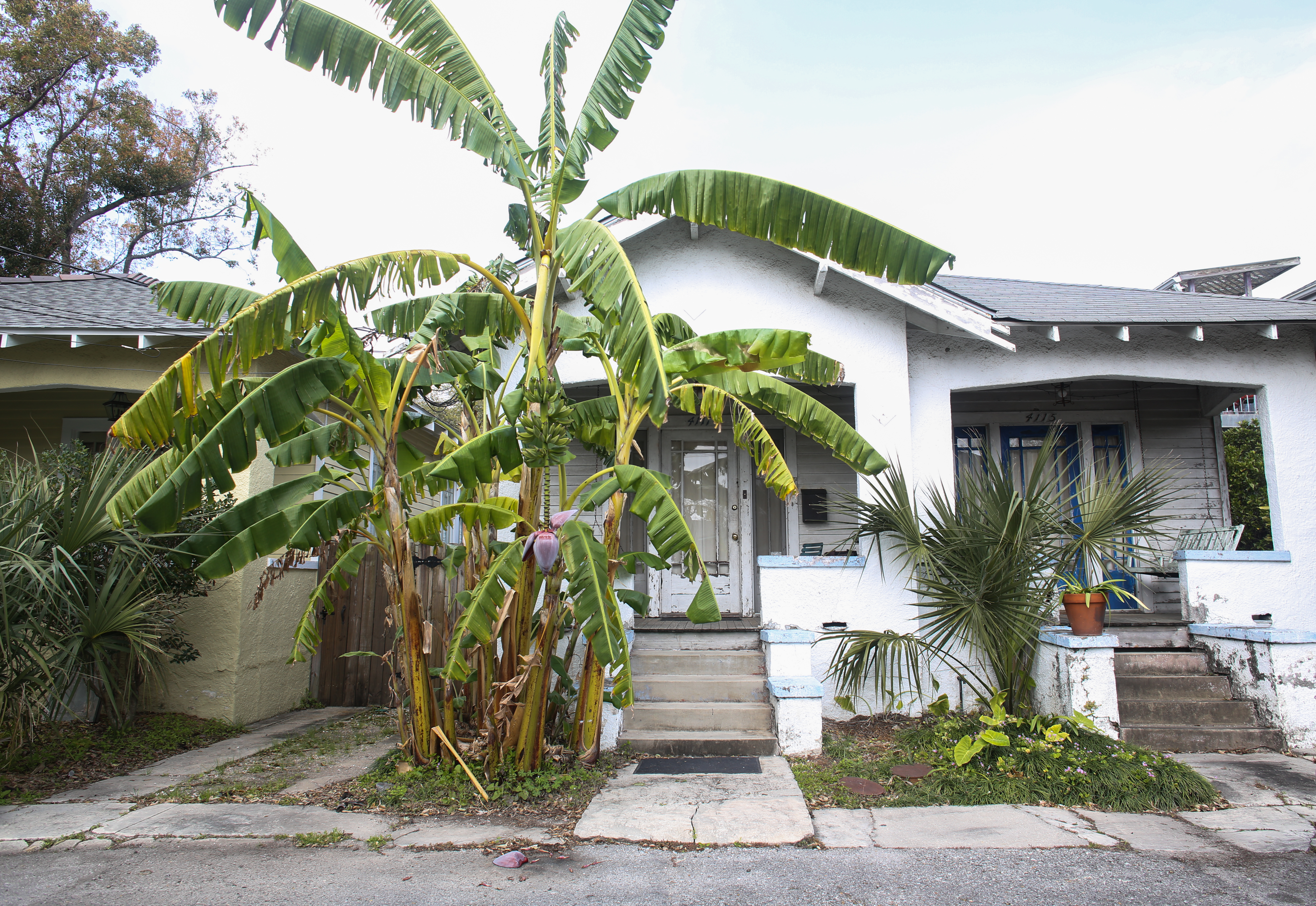 Beautiful Efficiency Apartment in City Park, New Orleans