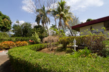 Mountainside Midcentury Living 