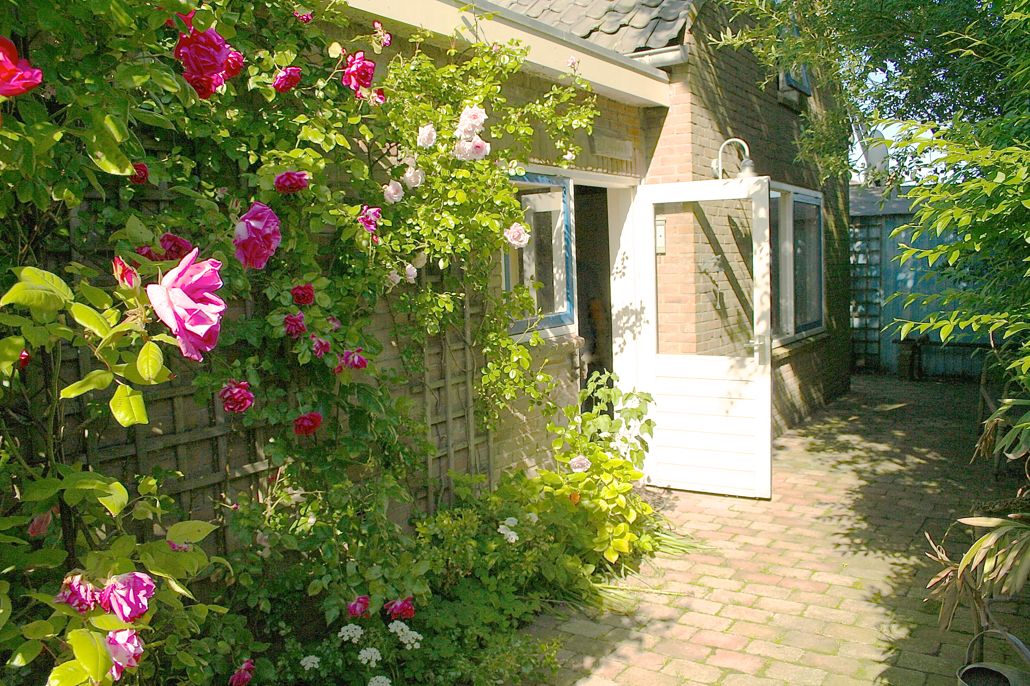 Romantic house by the sea for two