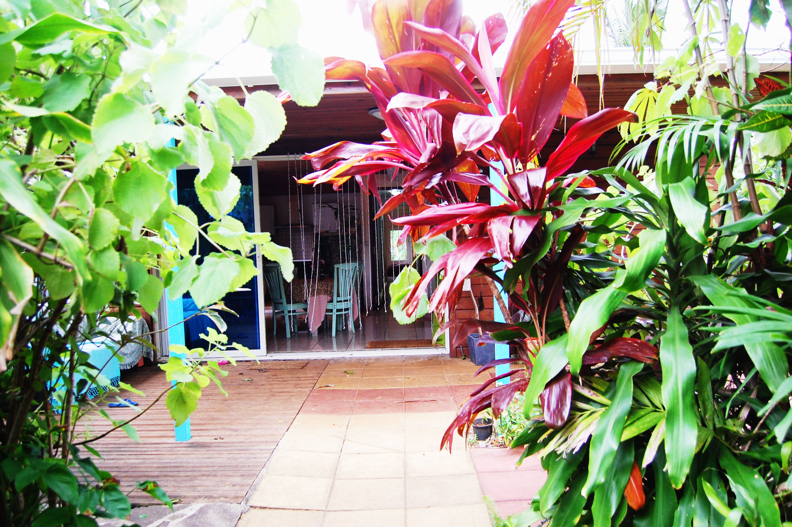 Beautiful Creole house and large wooded garden with sea view