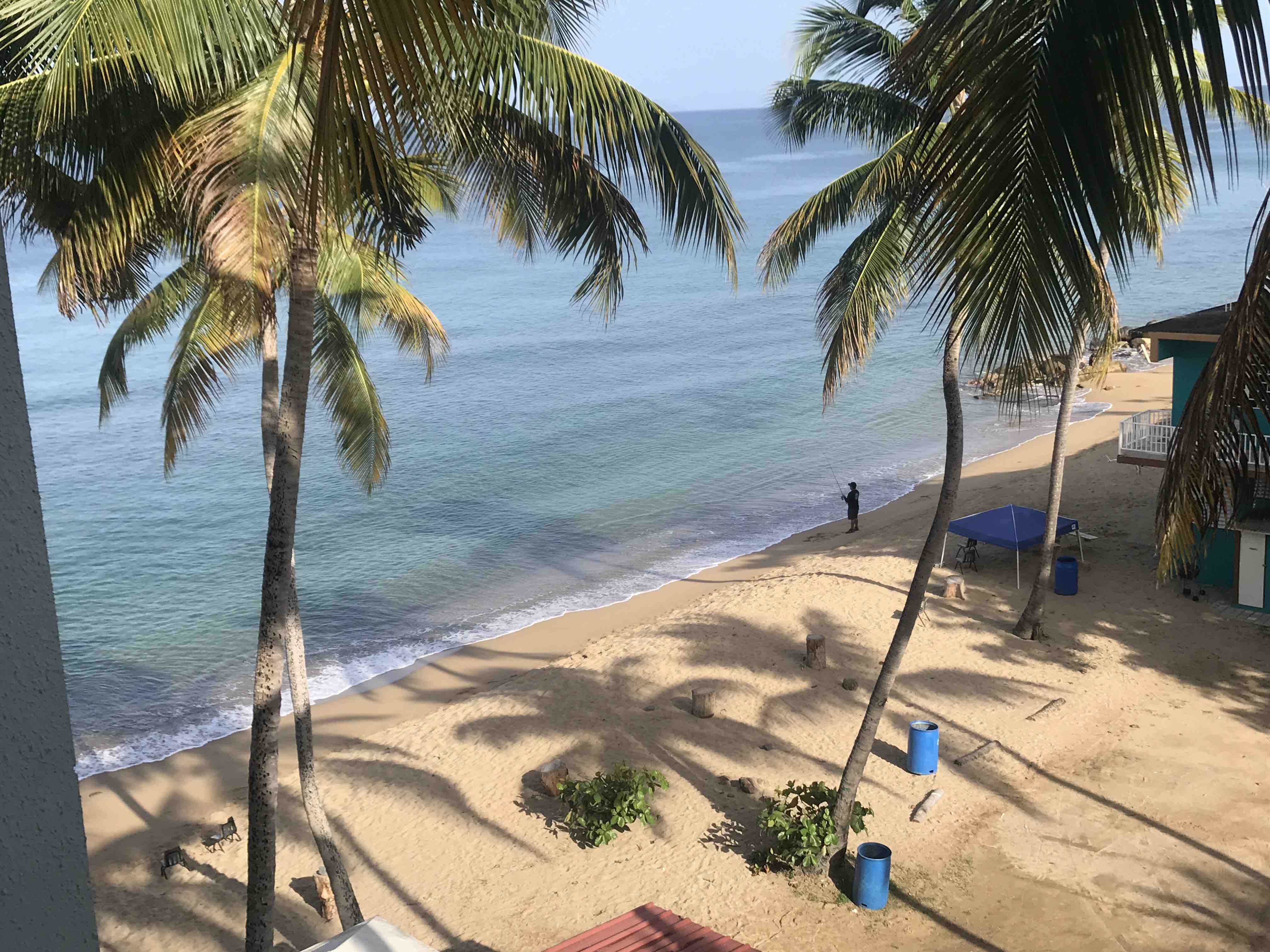 Corcega Beach Oceanfront Condo pool, beach access Condominiums for