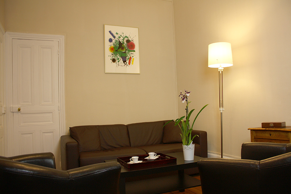 charleston apartment Flats for Rent in Dijon, Burgandy, France Airbnb