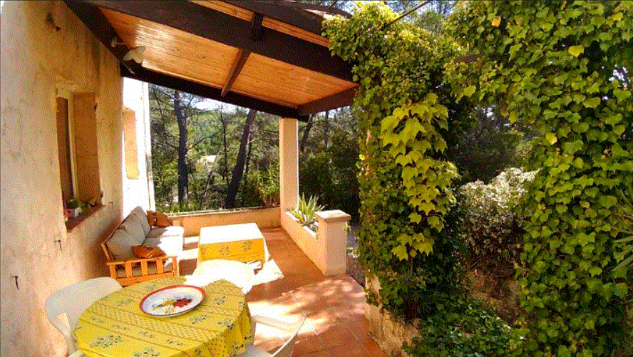 Nature lodge between olive trees and pool