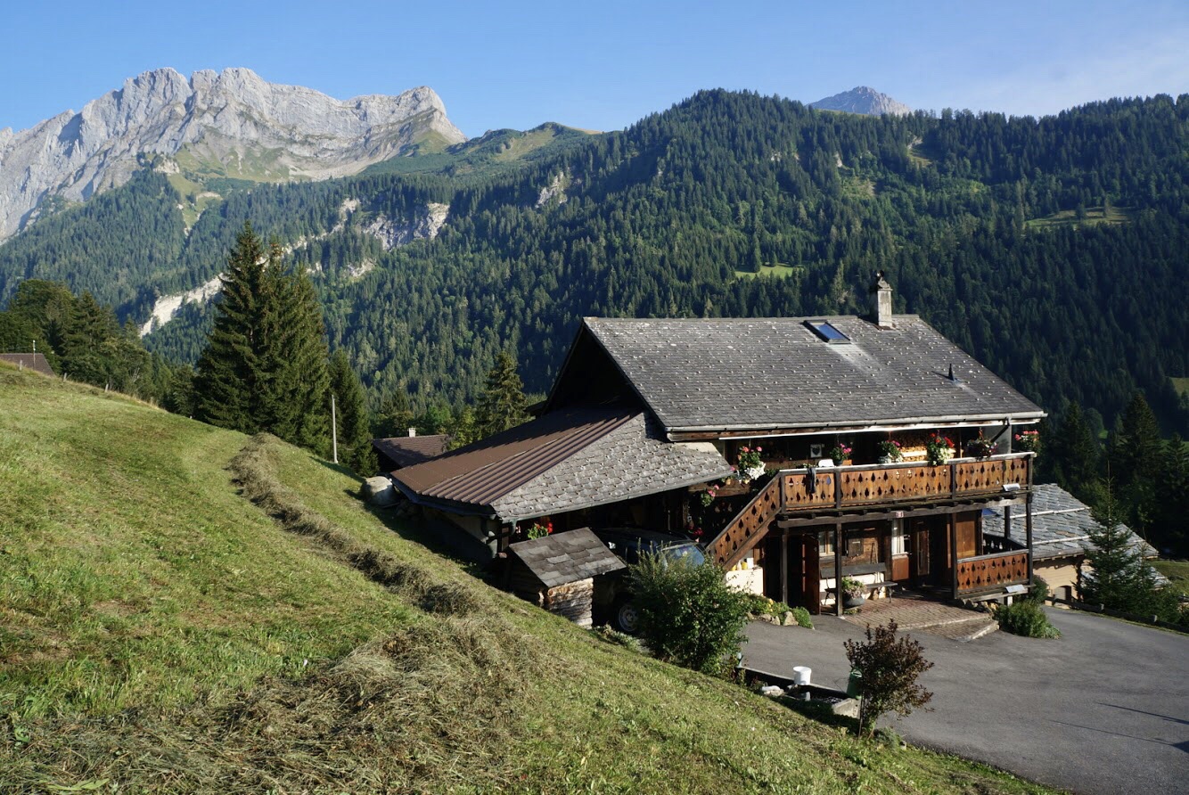 Authentic chalet experience with stunning views