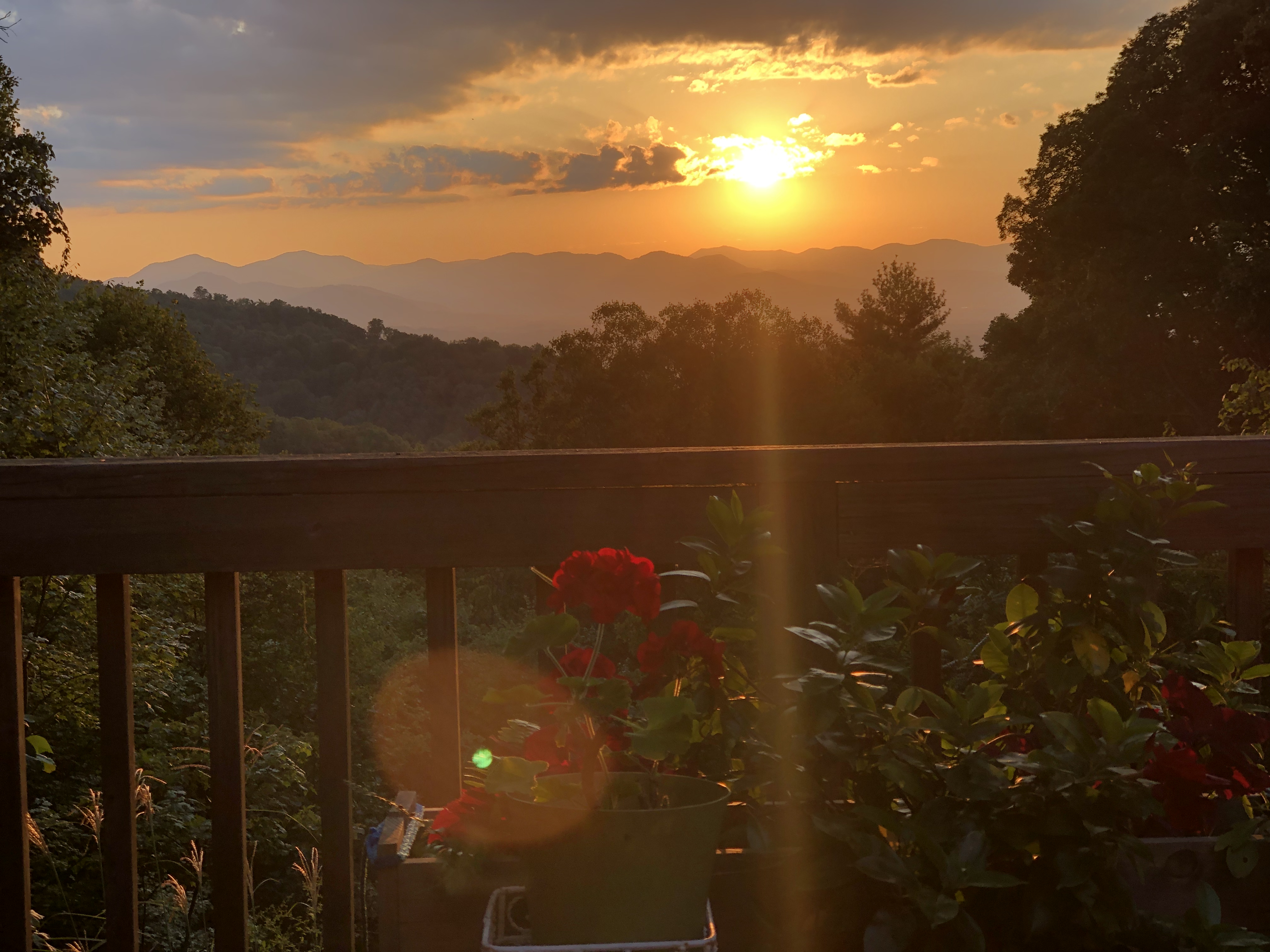 Sunset - year round views, 3 mi to DT AVL in 28804, Asheville