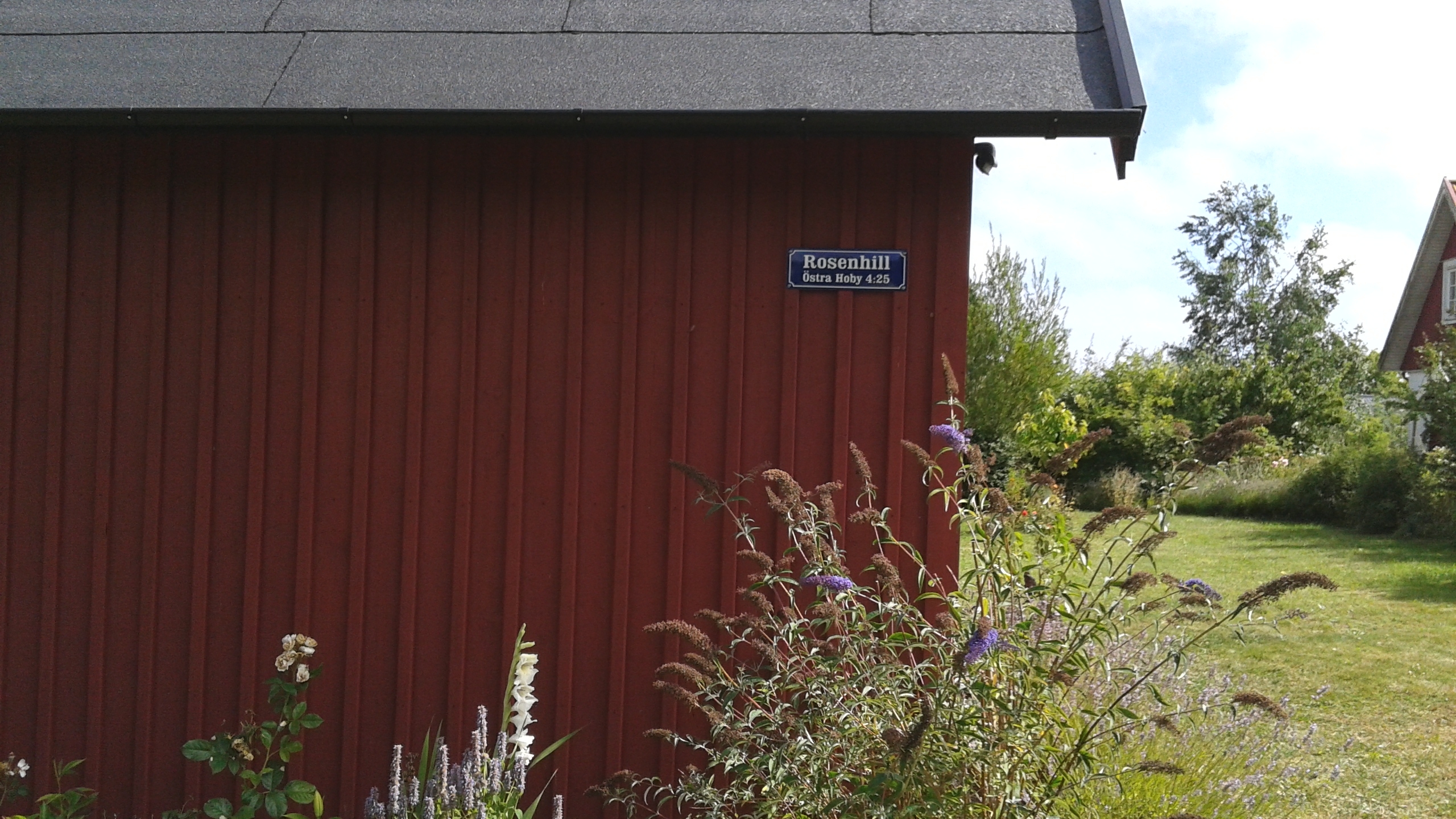 Rosenhill
