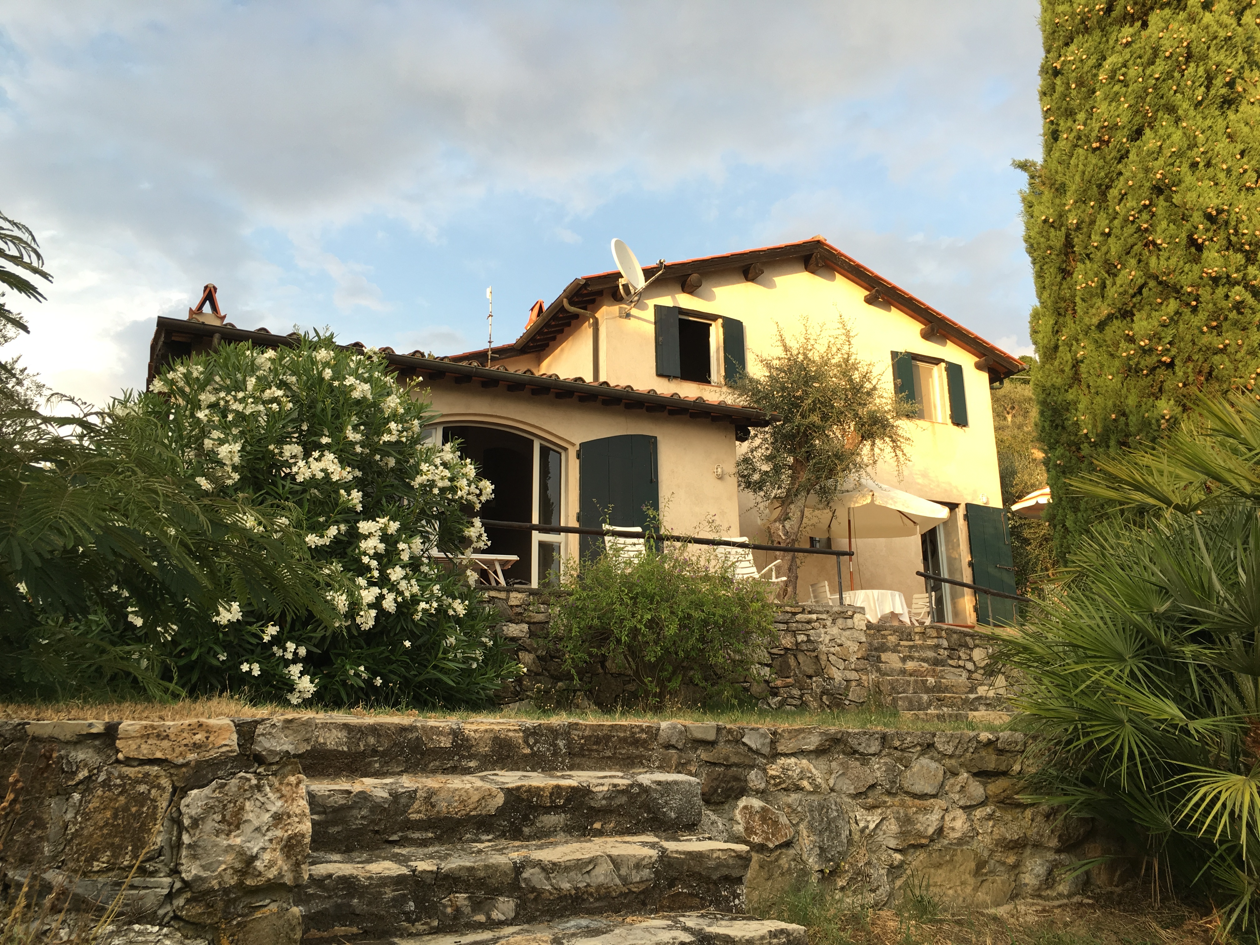 Panorama house with olive grove