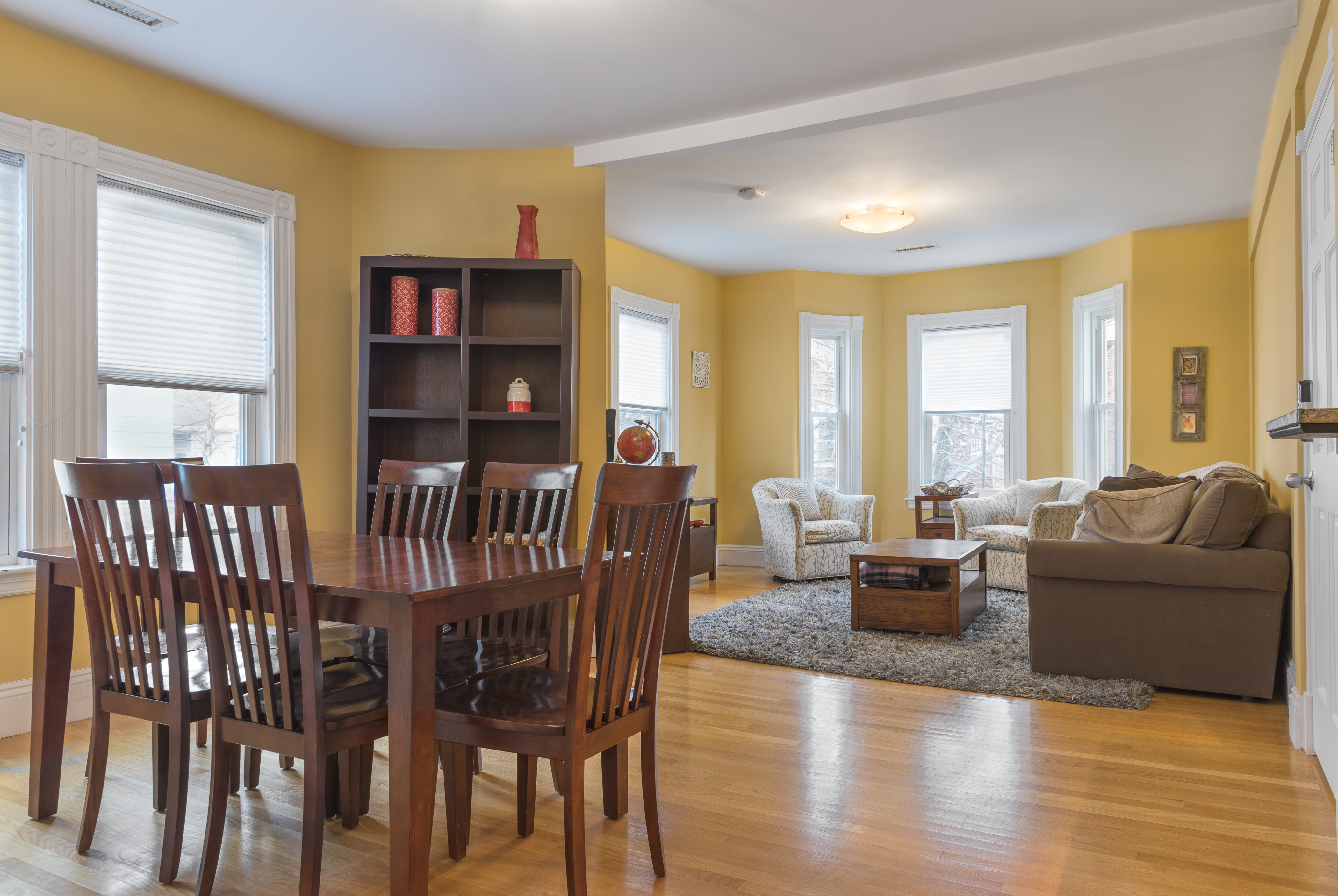 Serene, Roomy 2BR near Harvard & Davis Sq in North Cambridge, Cambridge