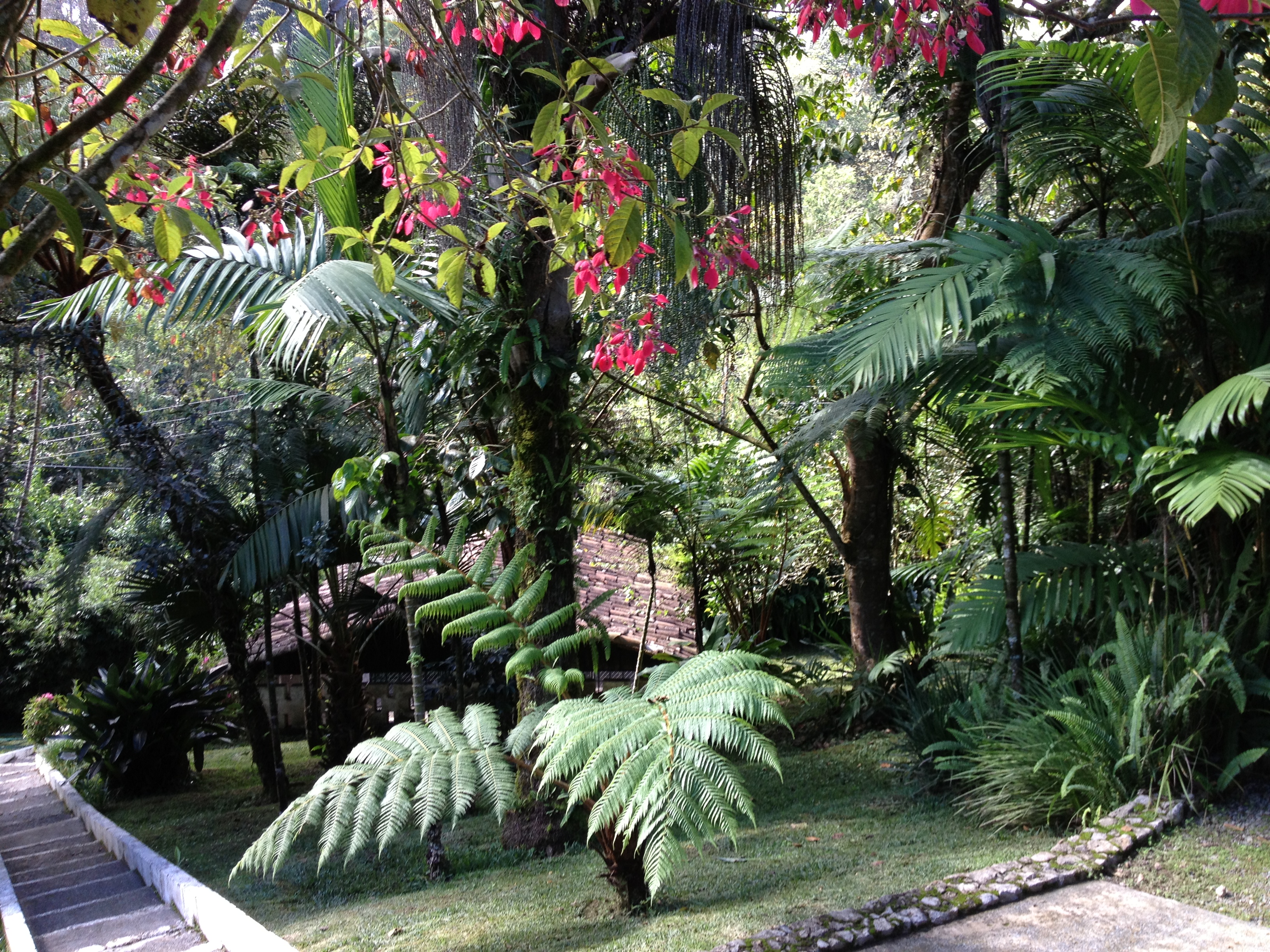 Country home & lush gardens 