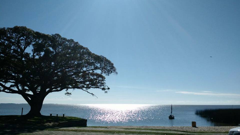 Enjoy our beaches, tours, and food.