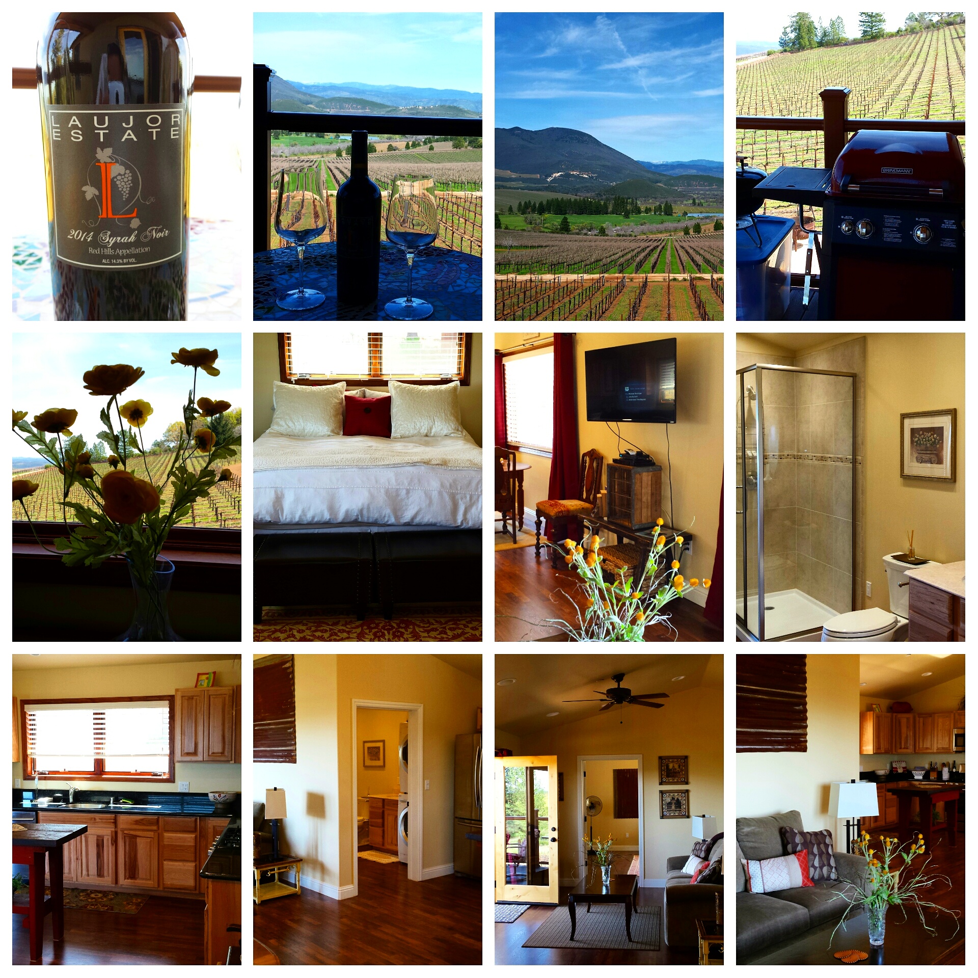 Laujor Vineyard Loft & Winery Farm stays for Rent in Kelseyville