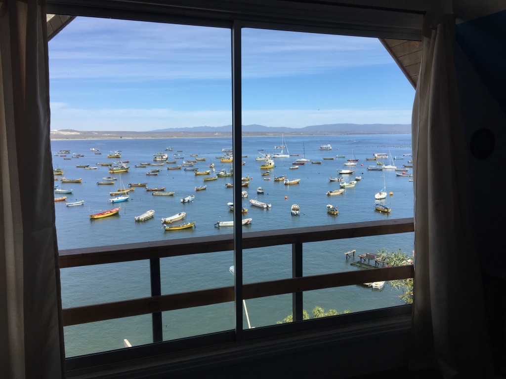 Oceanfront apartment to fall in love