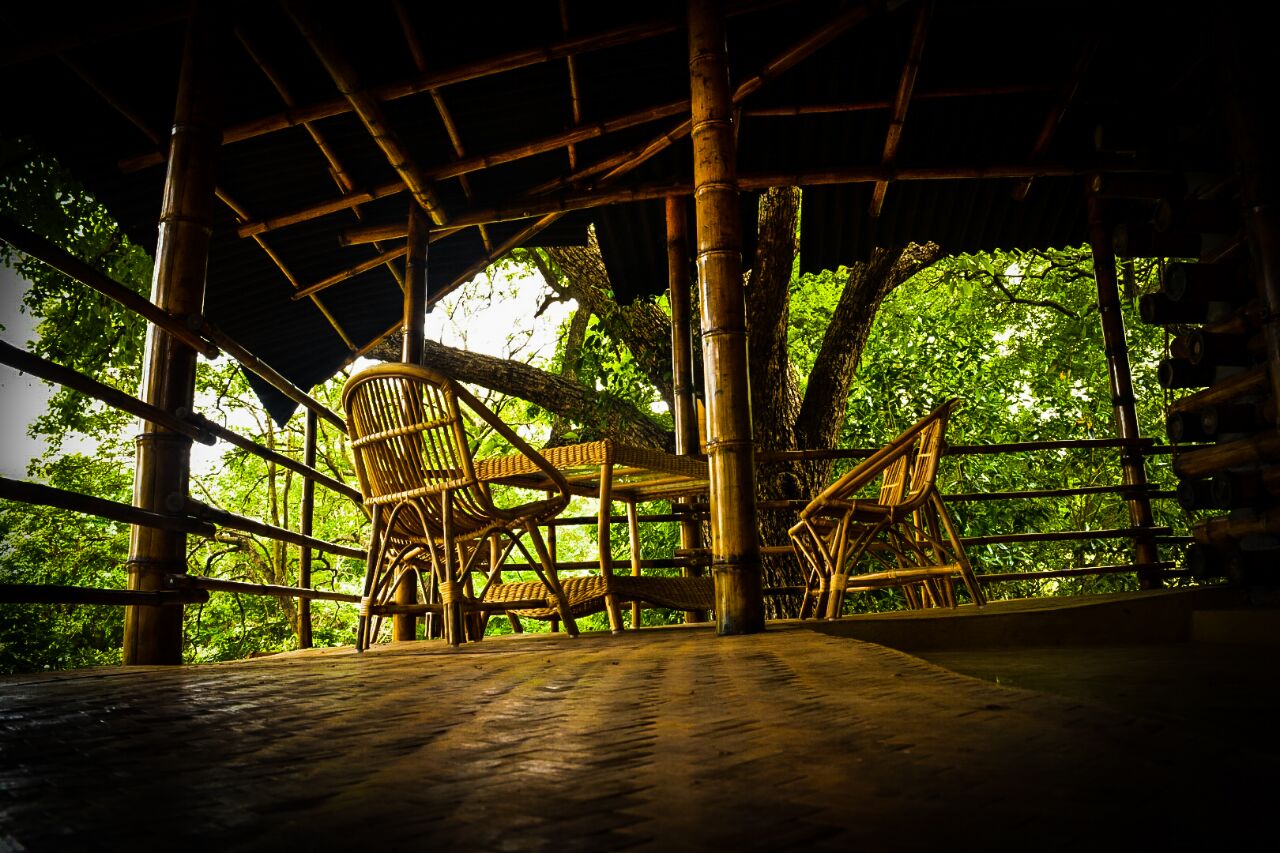 Bamboo House in a Lush Forest Cabins for Rent in Yelagiri, Tamil Nadu