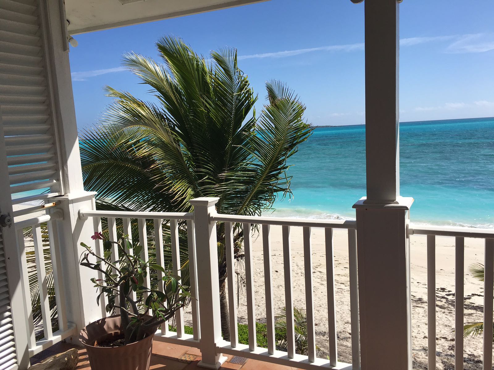 Henry Louis & The Parrot (Private beach)
