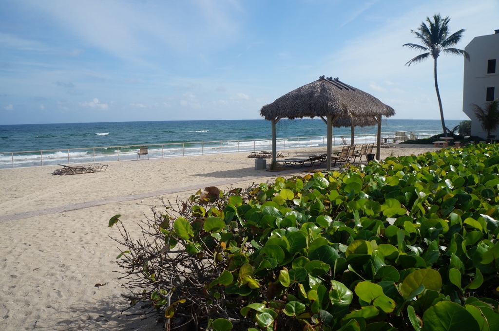 Resort Villa V Ocean Intracoastal Why Not Both Villas A Louer A Hillsboro Beach Floride Etats Unis