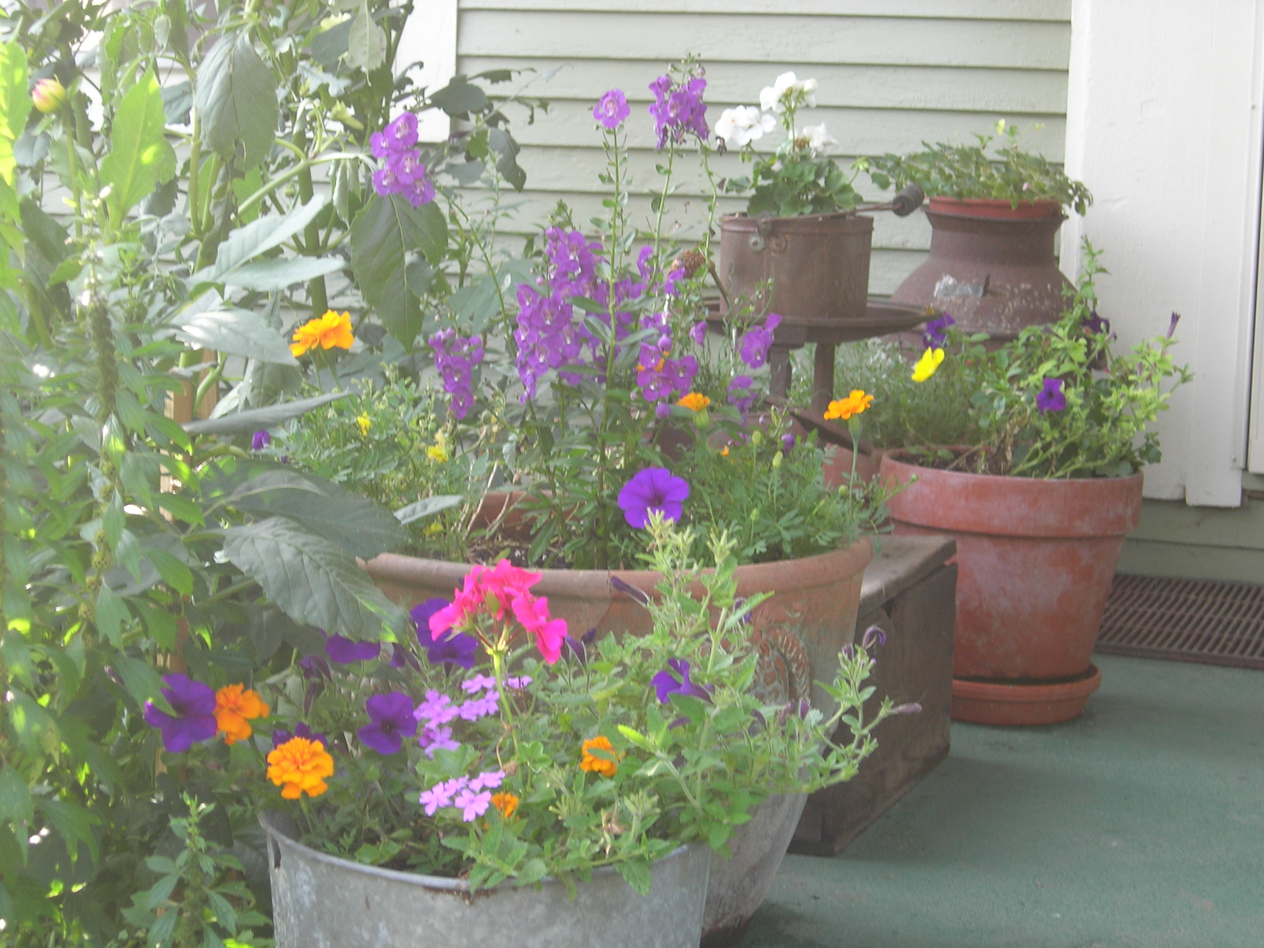 Sunny Studio Apartment in Hartland Apartments for Rent in Hartland