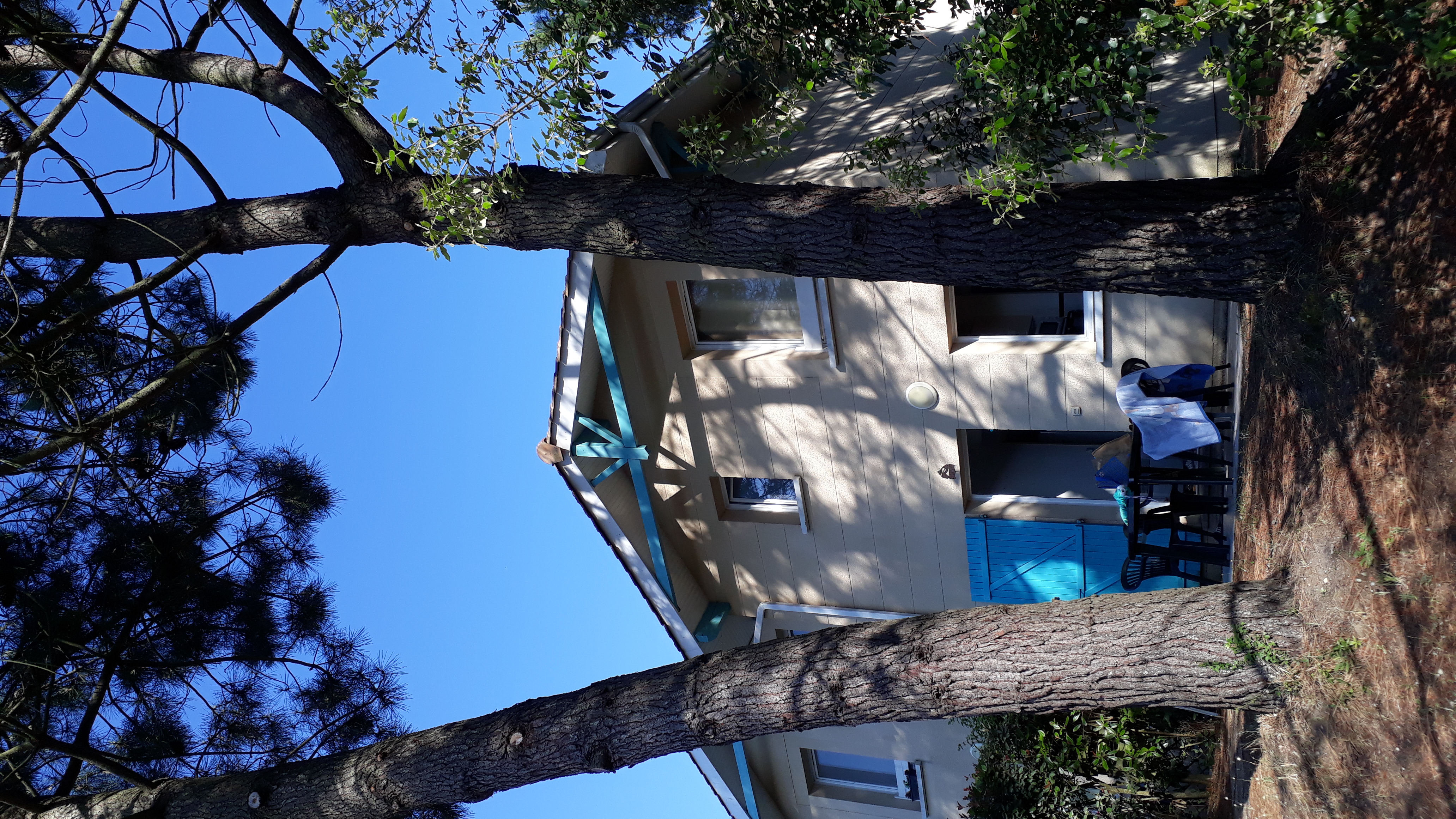 Duplex home in the heart of pine trees