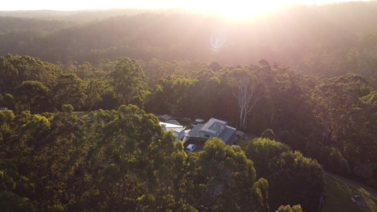 A Loft amongst the Gum Trees