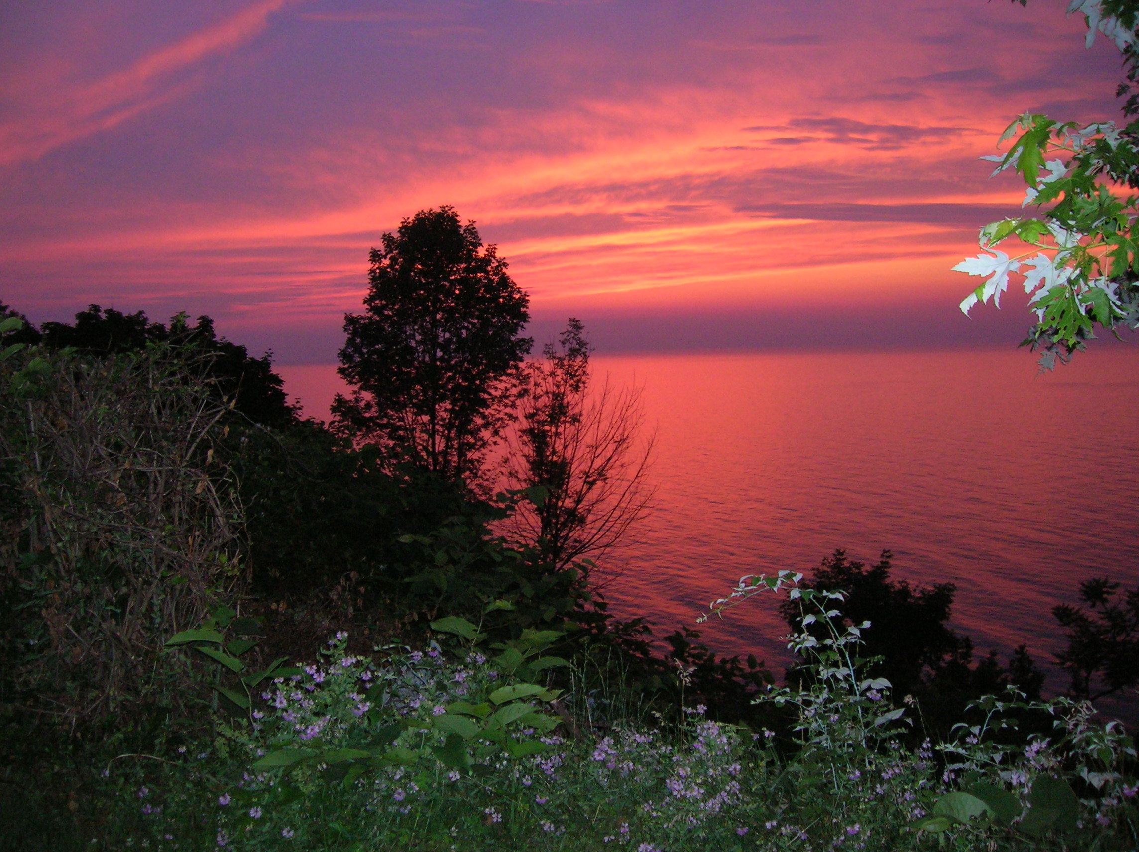 Charming Cottage Overlooking Lake Erie Cottages for Rent in Conneaut