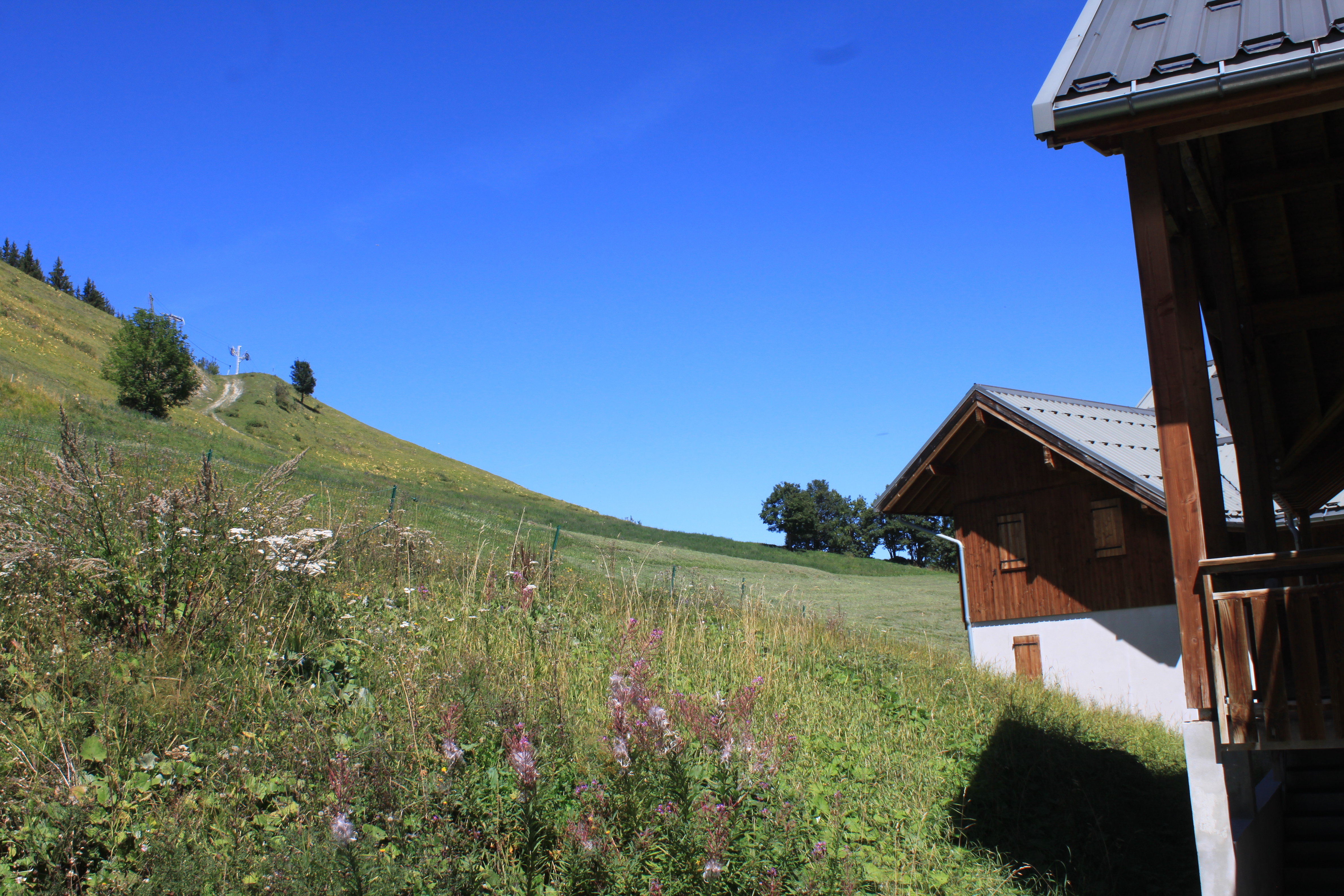 Albiez showond apartment two rooms terrace