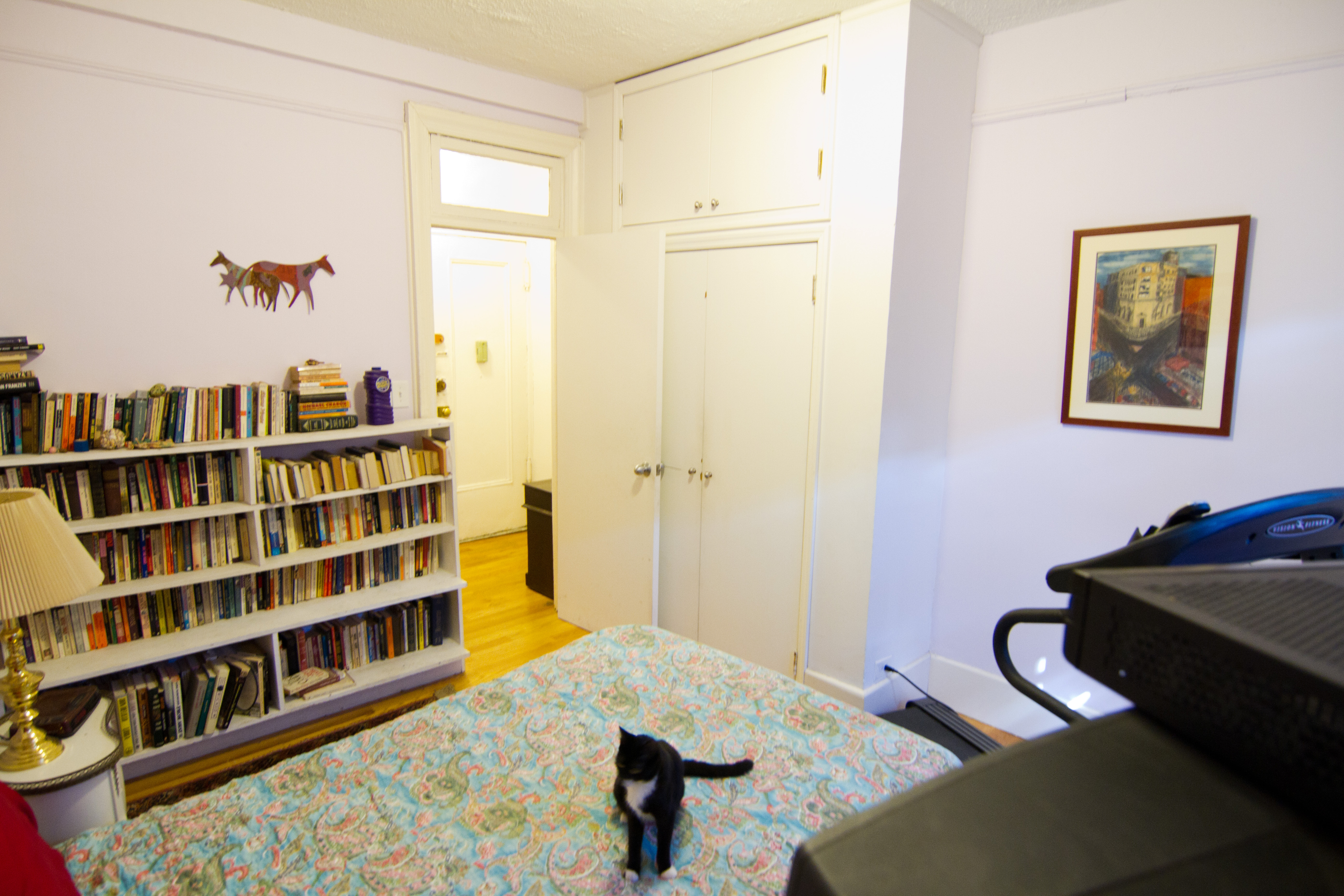 Cheerful, comfortable room in Washington Heights, New York City