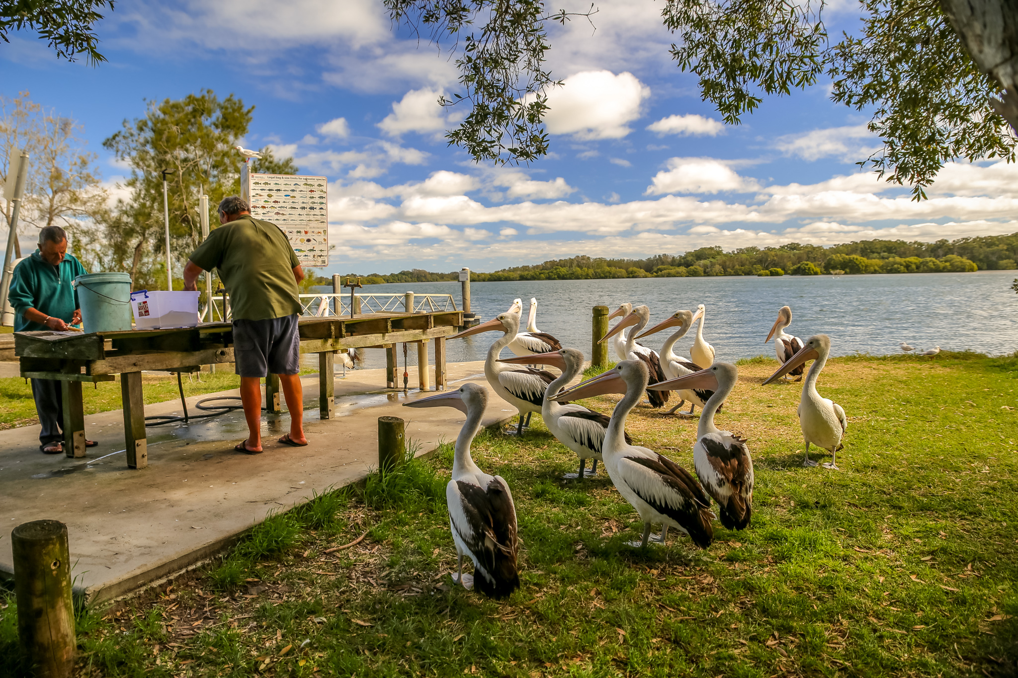 Tide Change: Pets/Disabled/Boat/AC - YAMBA